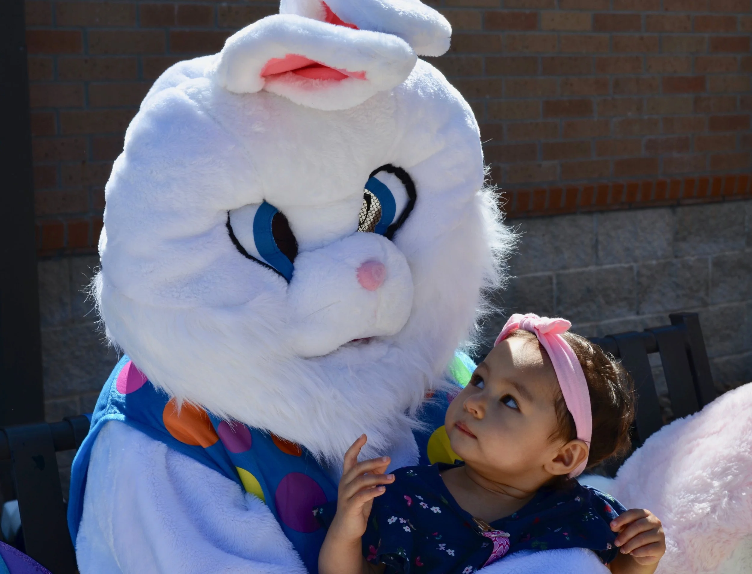 BunnyBash - 160.jpg