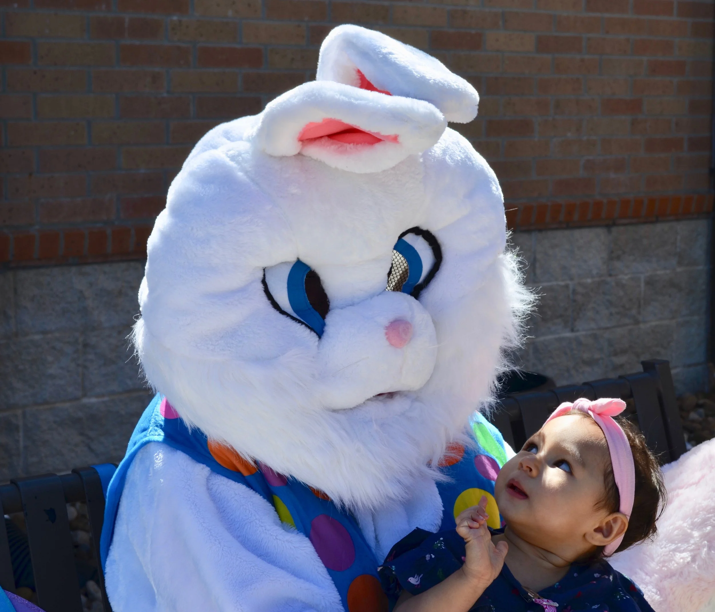 BunnyBash - 161.jpg