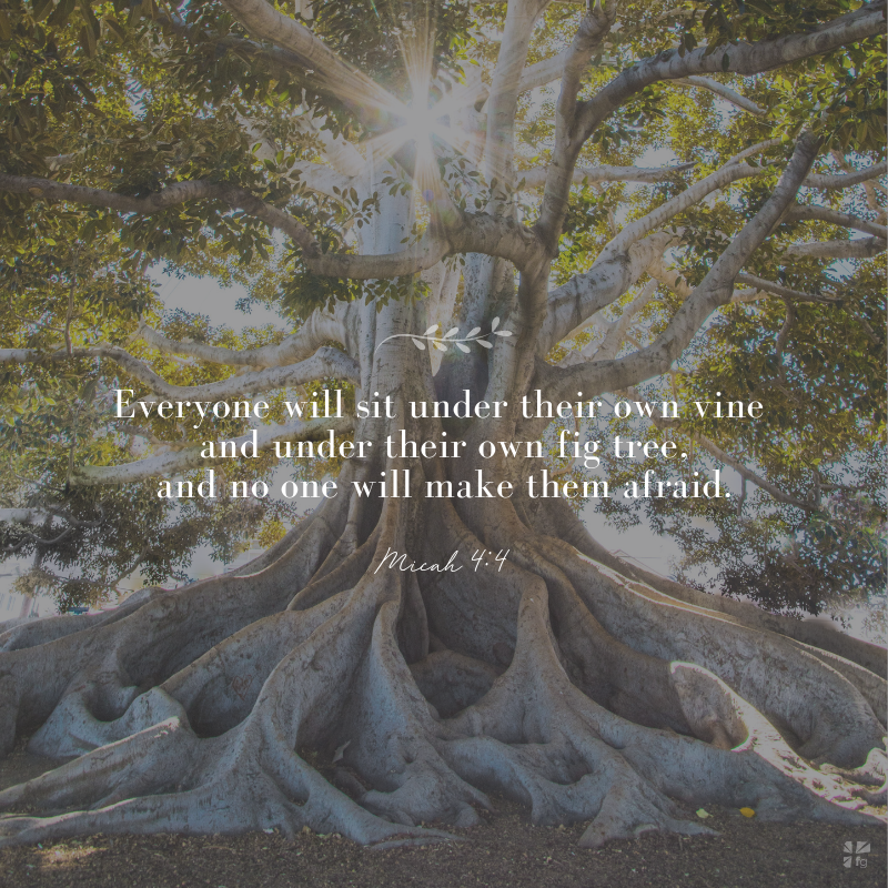 Not Wishful Thinking (KBS #8)