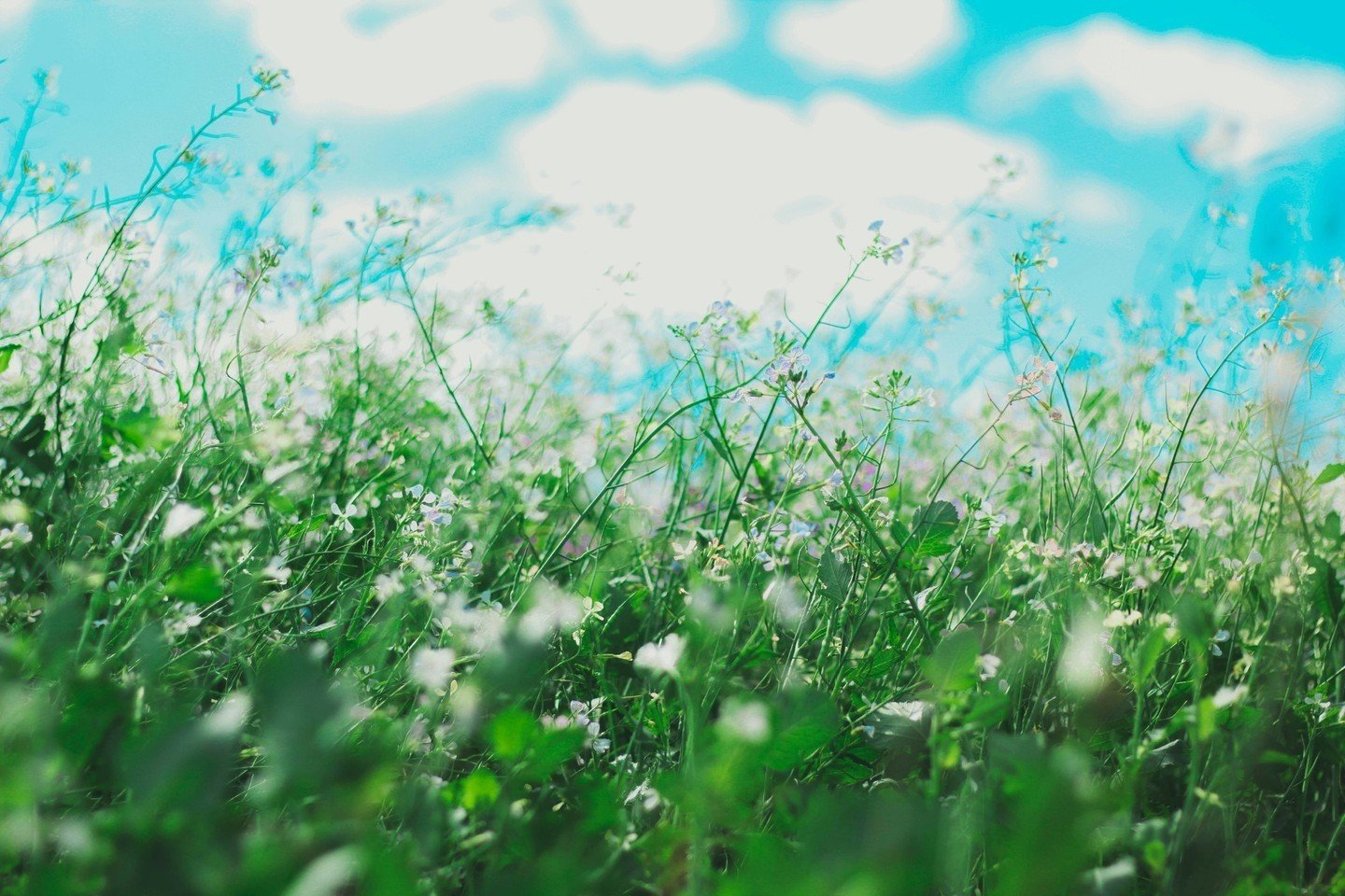 Spring is in the air, and so is allergy season! 🌸 Many of our patients are already feeling the shift in weather through allergy symptoms like itchy, watery eyes, sneezing, and skin symptoms like itching, dry patches, redness and hives.⁠
⁠
How can yo