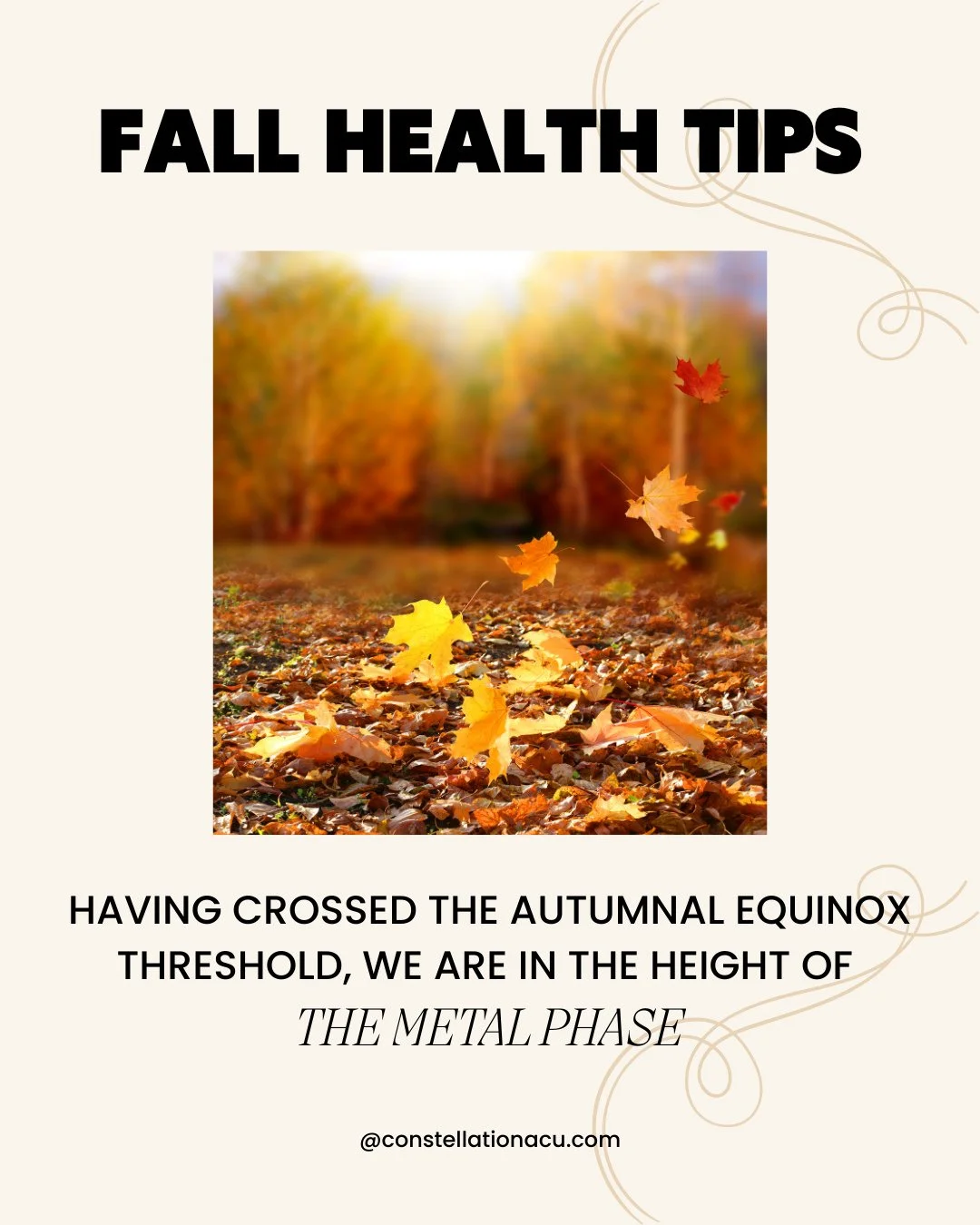 Having crossed the autumnal equinox threshold earlier this week, we are in the height of the Metal phase. ⁠
⁠
The Metal element is in charge of letting go and relates to the lungs and the large intestine. With the season of fall, we can be more vulne