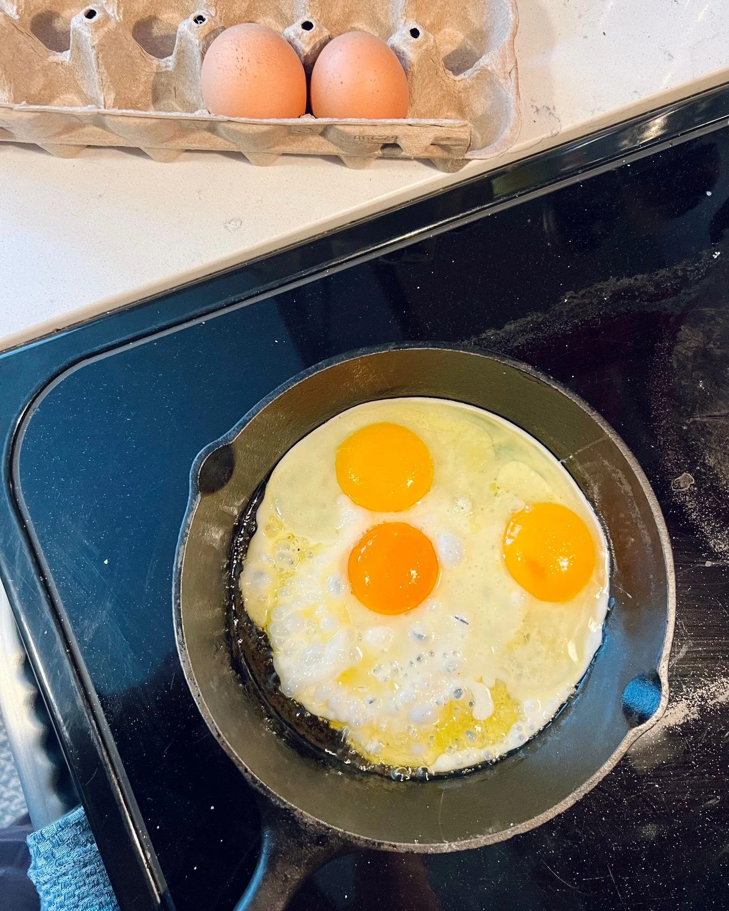What are we loving these days?? FARM FRESH EGGS!! ⁠
The color of the yolks in these eggies are *chef&rsquo;s kiss* gorgeous and, lucky for you, we are selling batches in the lobby of our clinic!⁠
⁠
For over ten years, Amy has been lucky to have an am