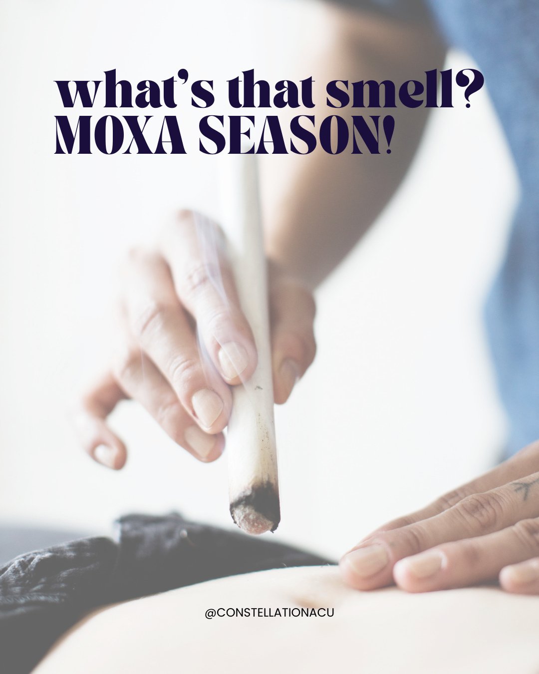 What&rsquo;s that smell?? Moxa Season!⁠
If you&rsquo;ve been into the clinic recently, you might&rsquo;ve noticed an herbaceous scent coming from the treatment rooms. It&rsquo;s moxa season! So let&rsquo;s talk about what that means.⁠
⁠
Moxa, or moxi
