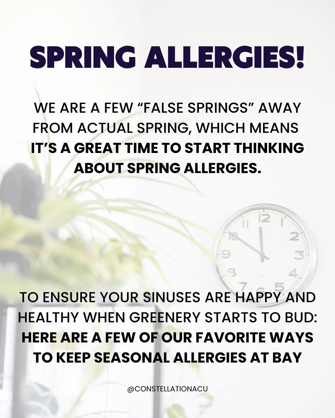 SPRING ALLERGIES 🌸 We are a few &ldquo;false springs&rdquo; away from actual spring, which means it&rsquo;s a GREAT time to start thinking about spring allergies and how you can start supporting yourself.
⁠
Late winter (yes, right now!) is the time 