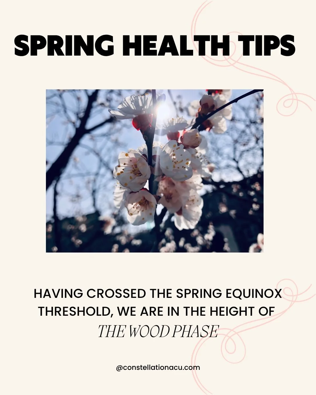 Having crossed the spring equinox threshold recently, we are in the height of the Wood phase. 

The Wood element is the fuel that feeds our creative fire and allows for creation and action to SPRING forth. It relates to the Liver and Gallbladder and 