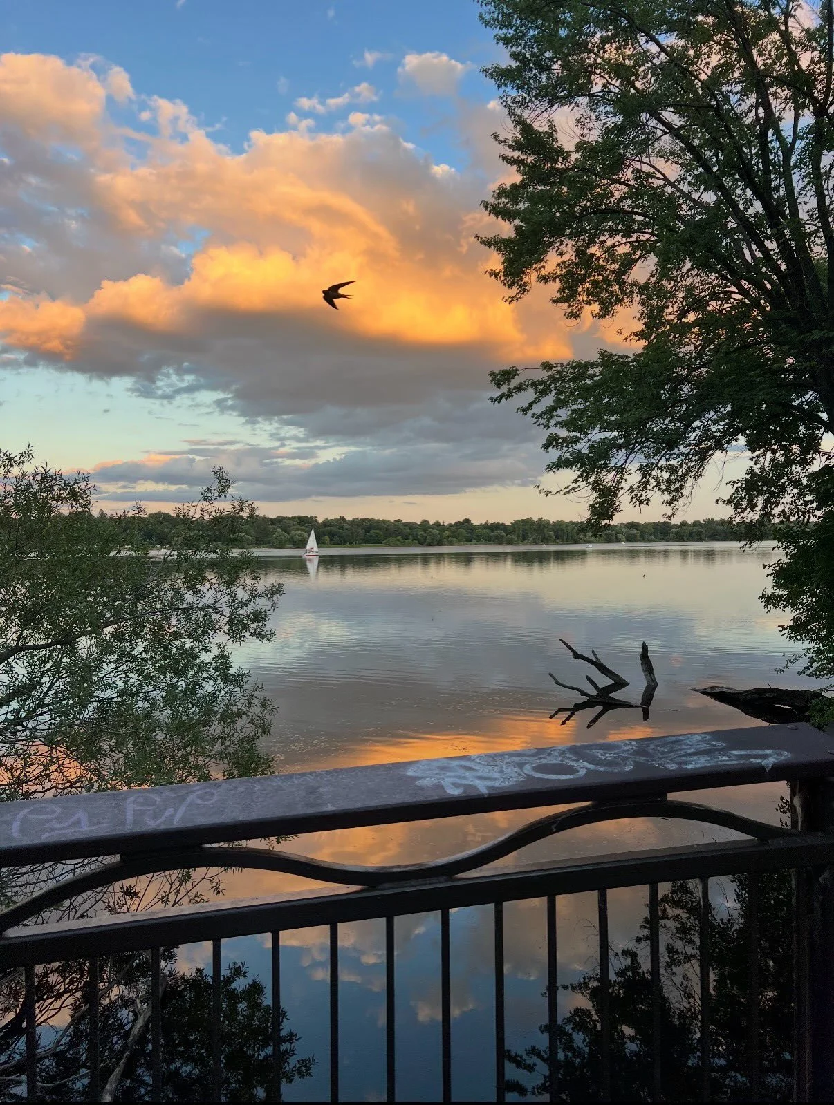 We are not separate from the world around us; we are of it. Spending time outside is a way to connect with and absorb the qi of the earth and the sky, a practice that helps to stabilize and build the qi within us. 

Even 5 minutes surrounded by green