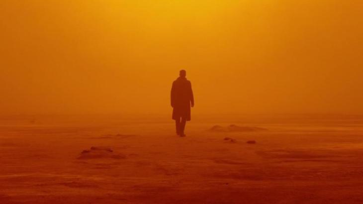 Blade Runner 2049 (DOP: Roger Deakins)