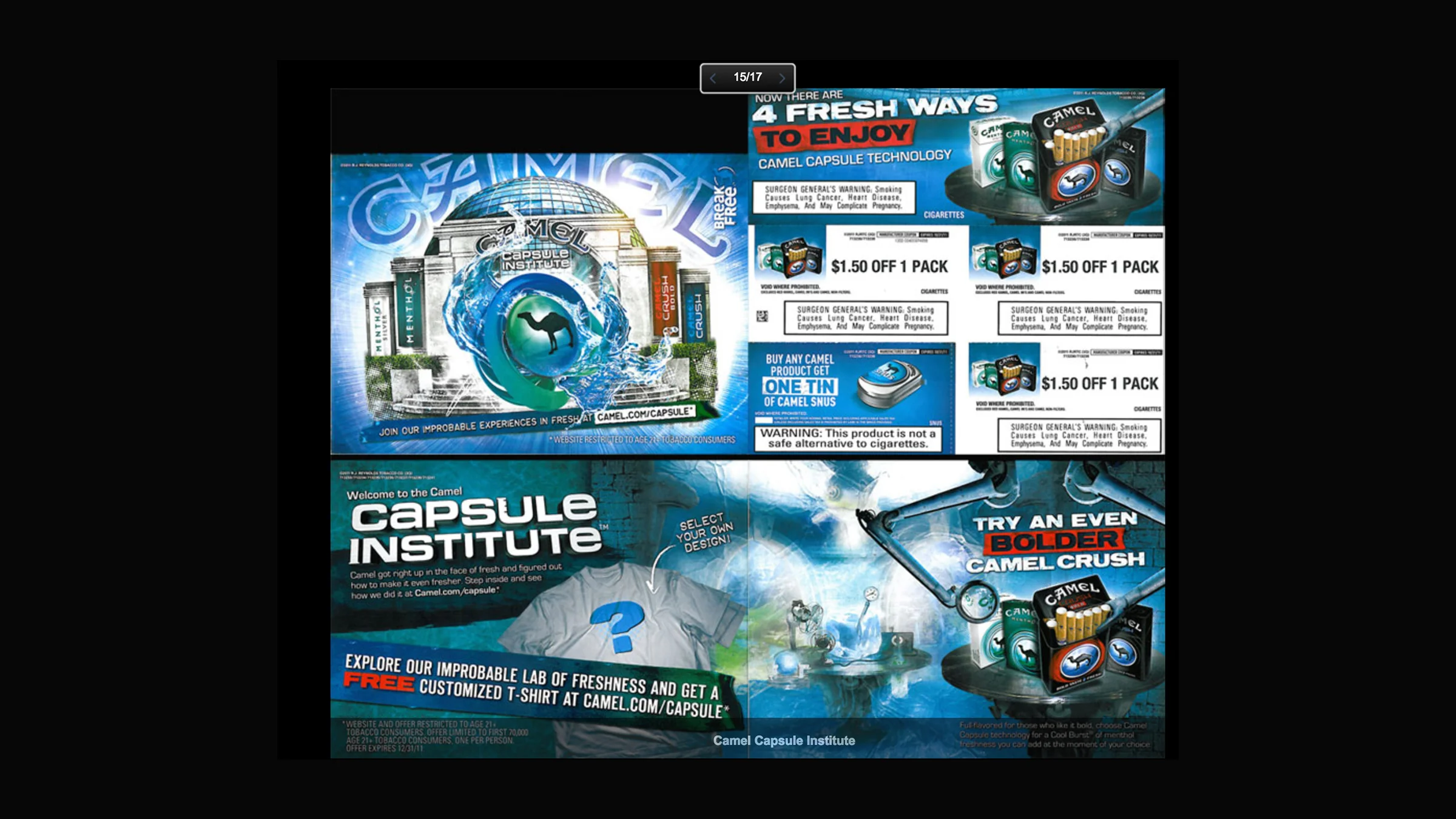 The Capsule Institute