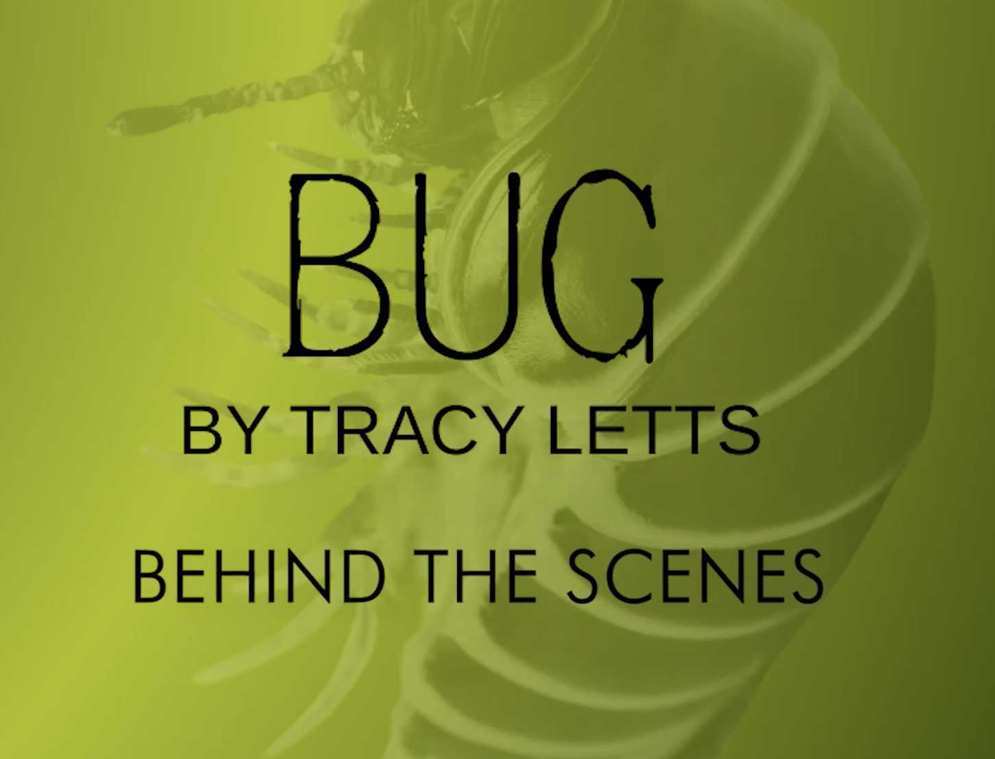 BUG: Preview
