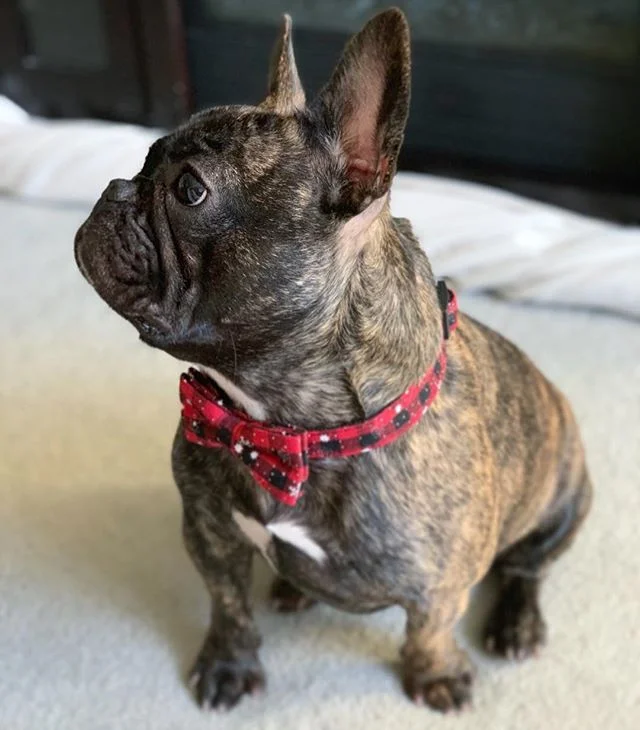 Baby, all i want for #Christmas is you 🥰