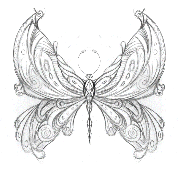 Butterfly-Process.gif