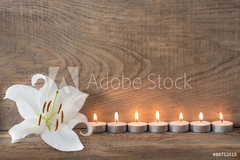 AdobeStock_89752019_Preview.jpeg
