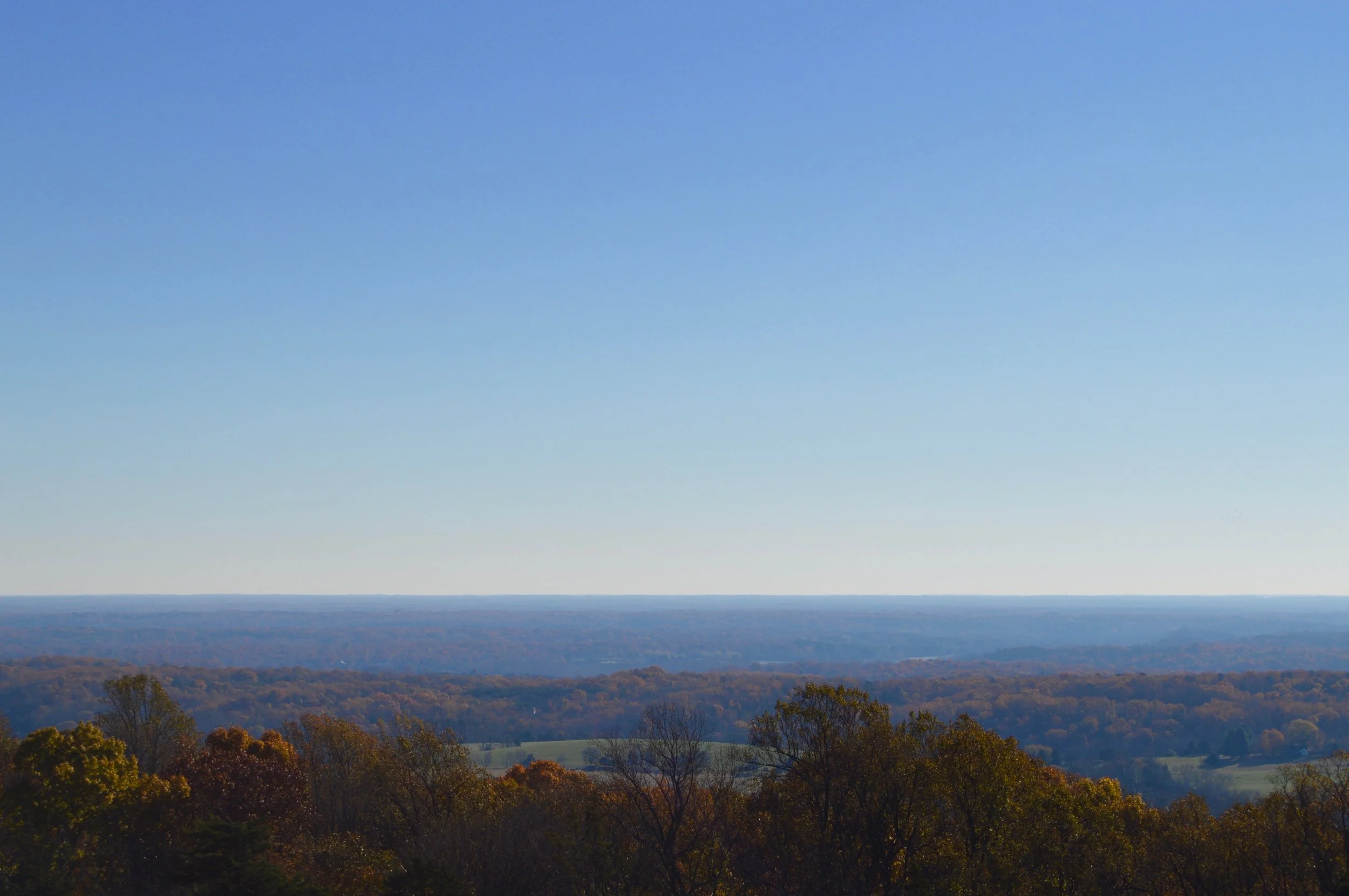 DSC_0095.jpg