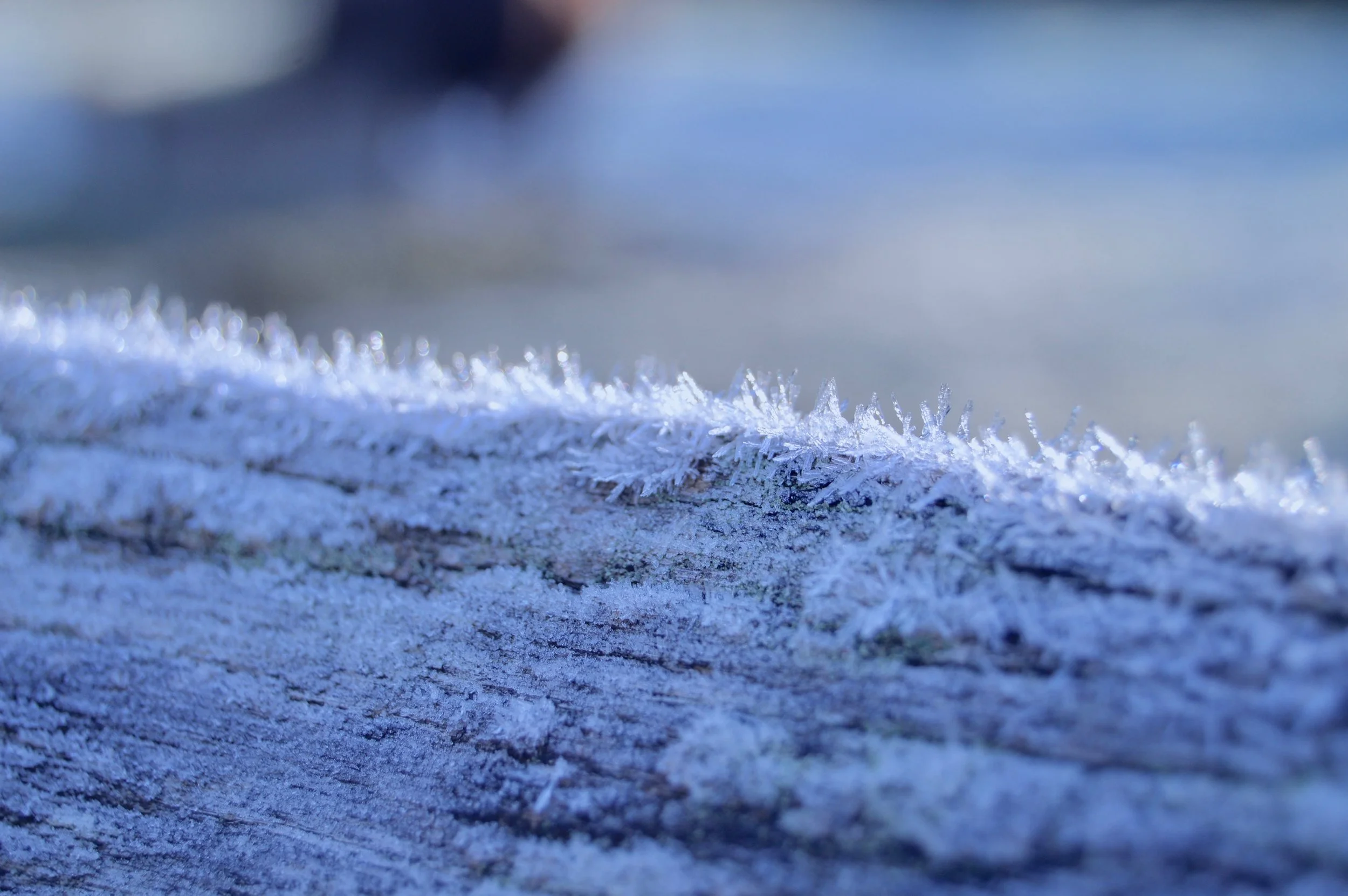 DSC_0684.jpg