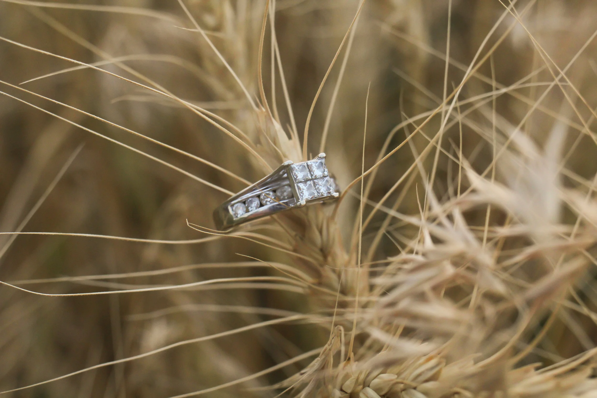 ALISHAENGAGEMENT-24.jpg