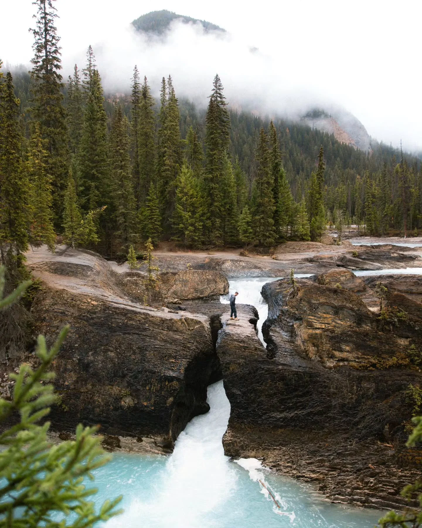 Nothing quite like the Canadian wilderness, especially when being shown around by one of life's good guys.

#banffnationalpark