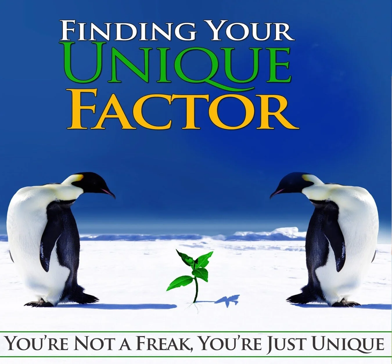 Discovering Your Unique Factor - Audio Download