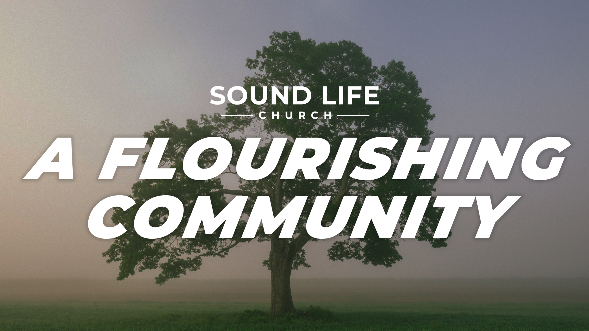 SLC Vision: A Flourishing Community (September  2021)