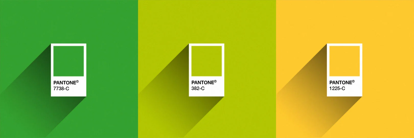 Arriezu Vineyards - Pantones.jpg