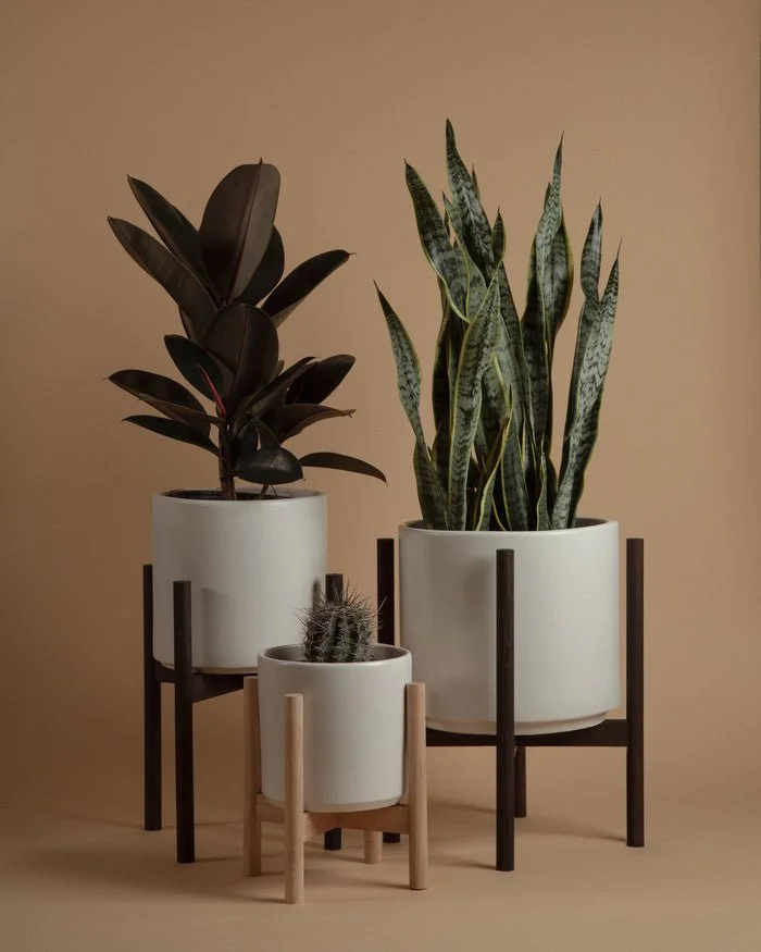 PlantStands-3_a53793aa-8208-424f-9d3a-0b3545a7e970_700x.jpeg