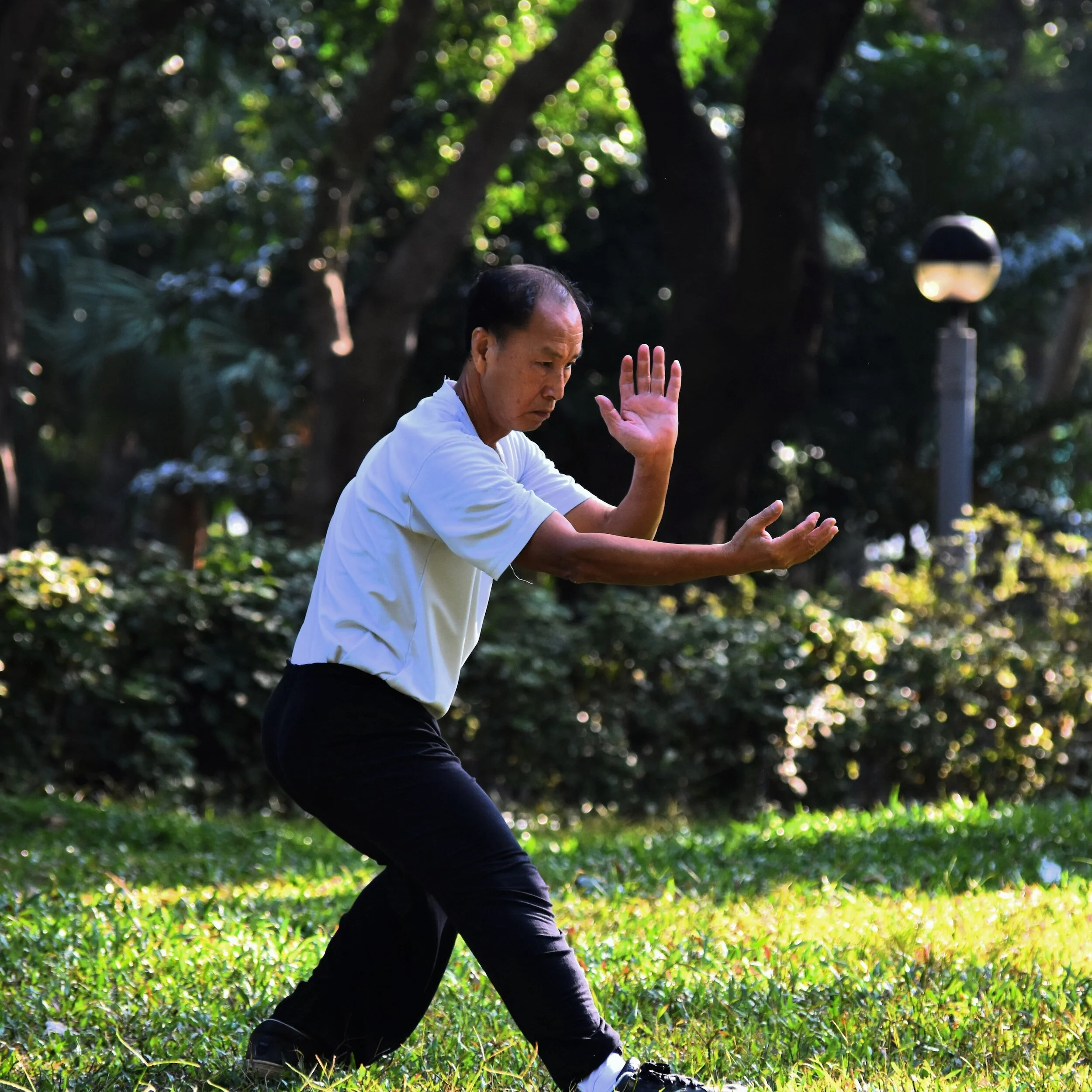Transformative Power of Tai Chi for Neurological Well-being!