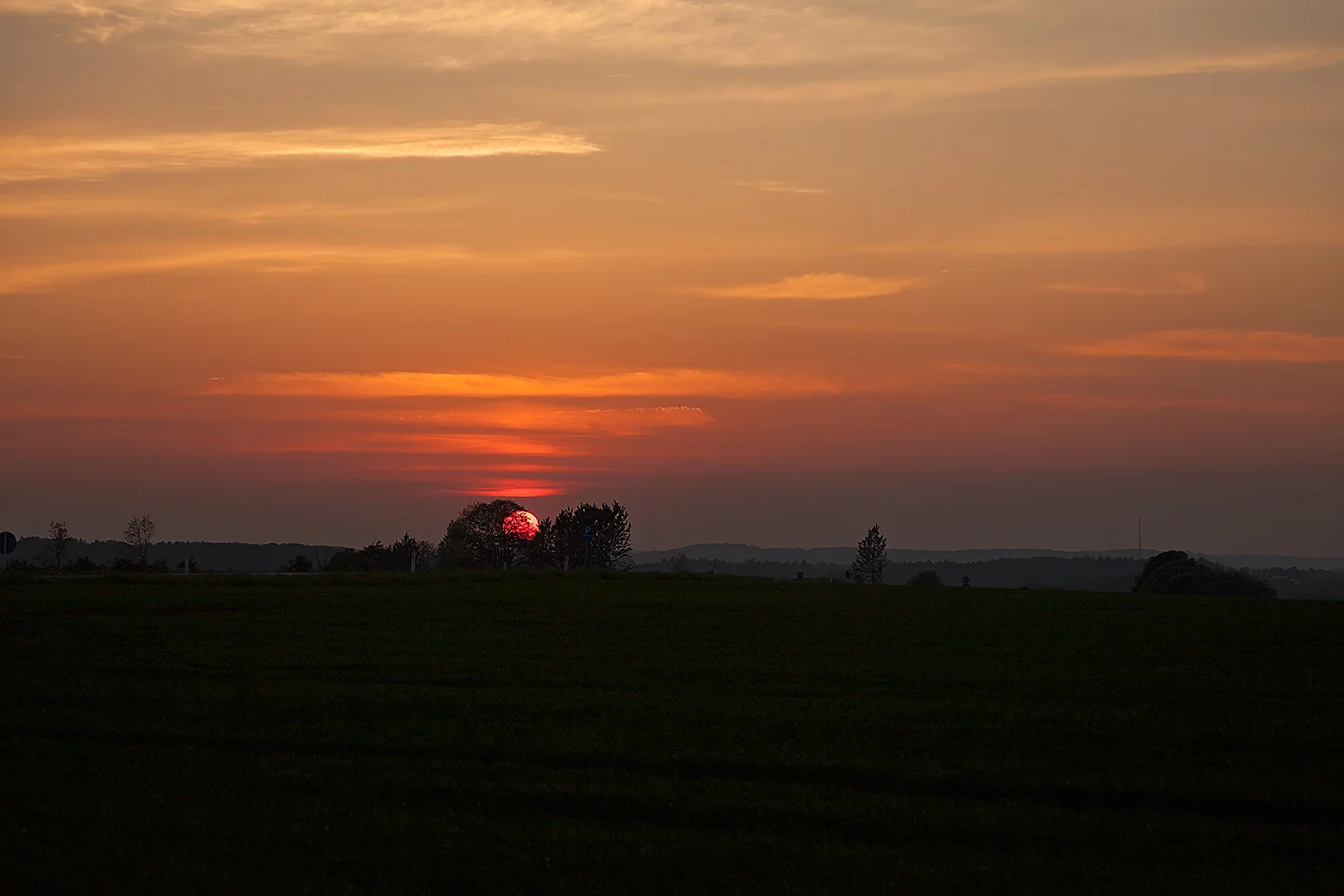 IMG_9373-s1Nw.jpg