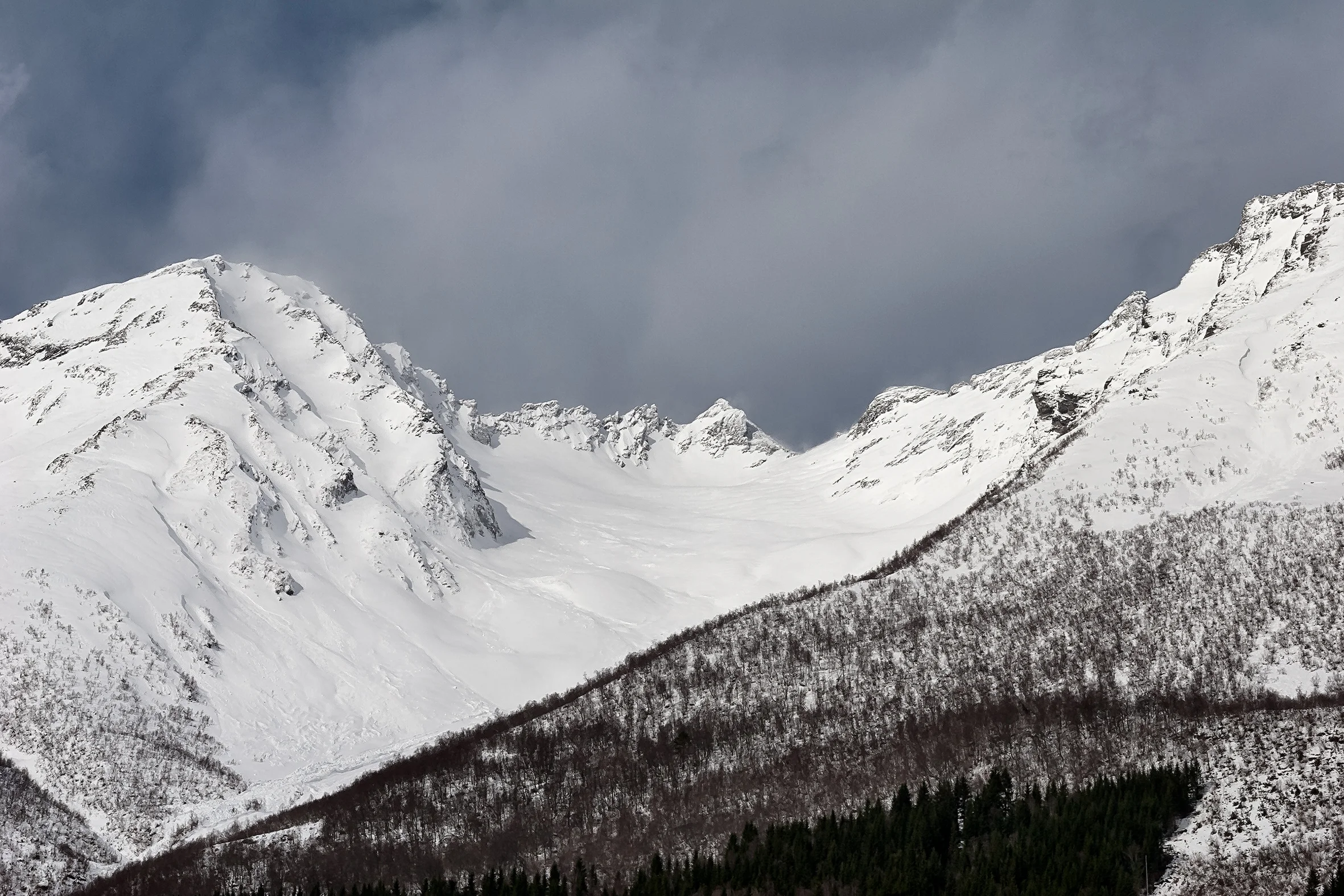 _MG_0436-1sHNw2.jpg