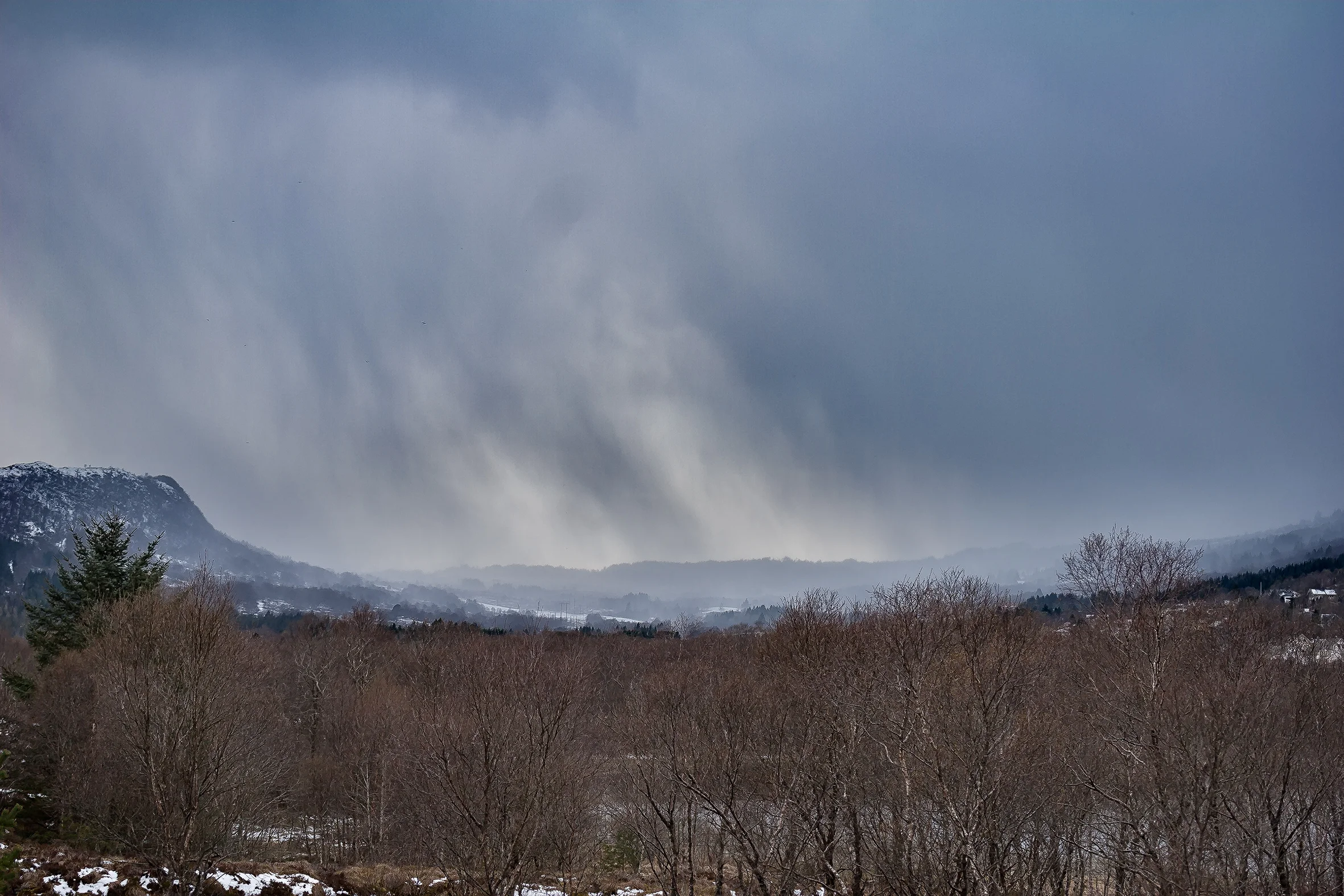 _MG_0657-2-1sHNW2.jpg