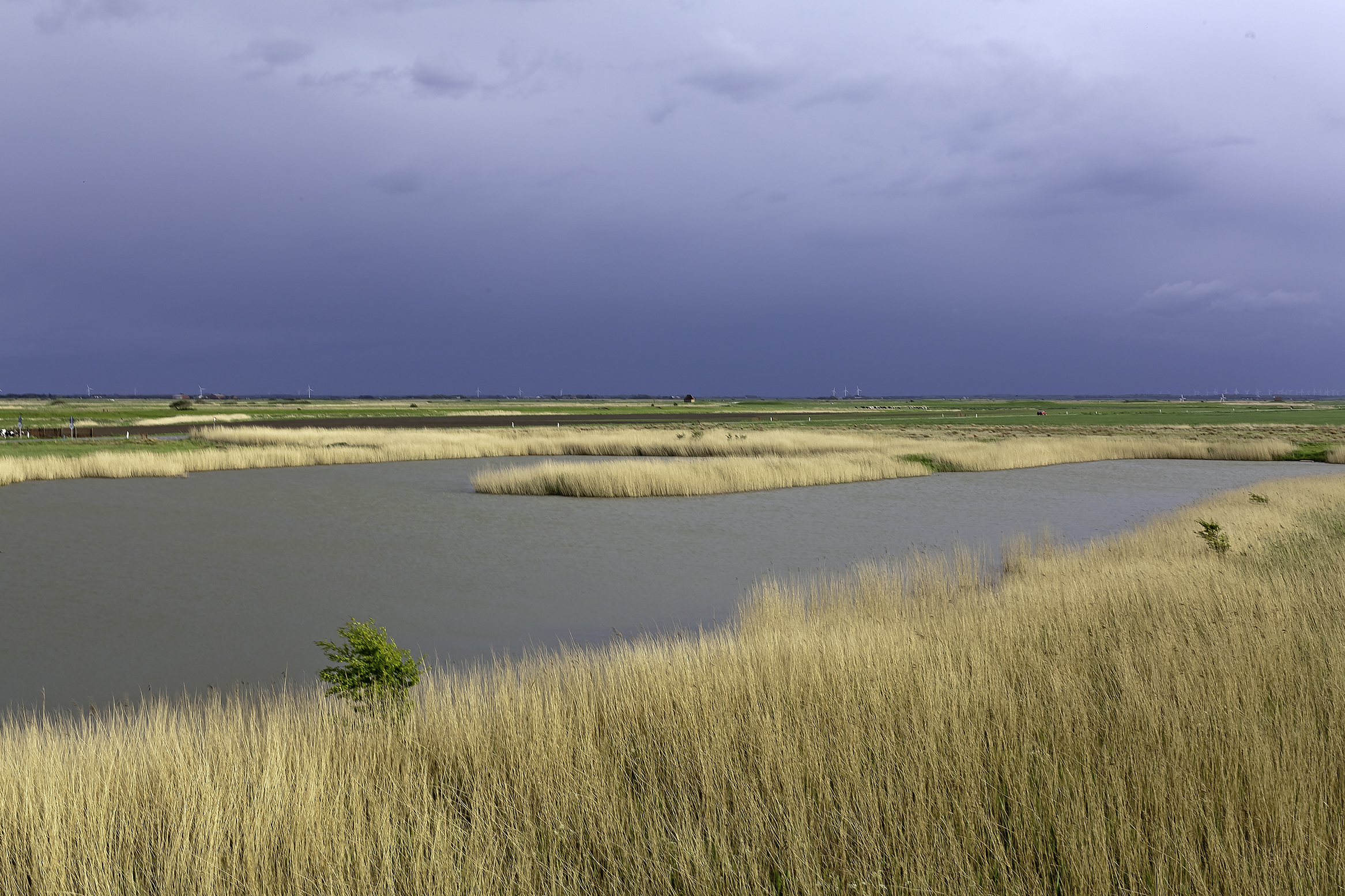 In the south-western parts of Denmark there is the Wadden sea. The landscape is completely flat and lies around sea level only protected by dikes. Birds flock here in millions as they trek to or from their breeding grounds elsewhere.