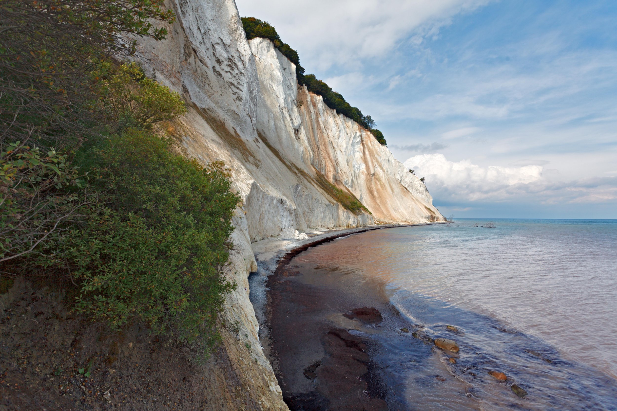 Møns klint