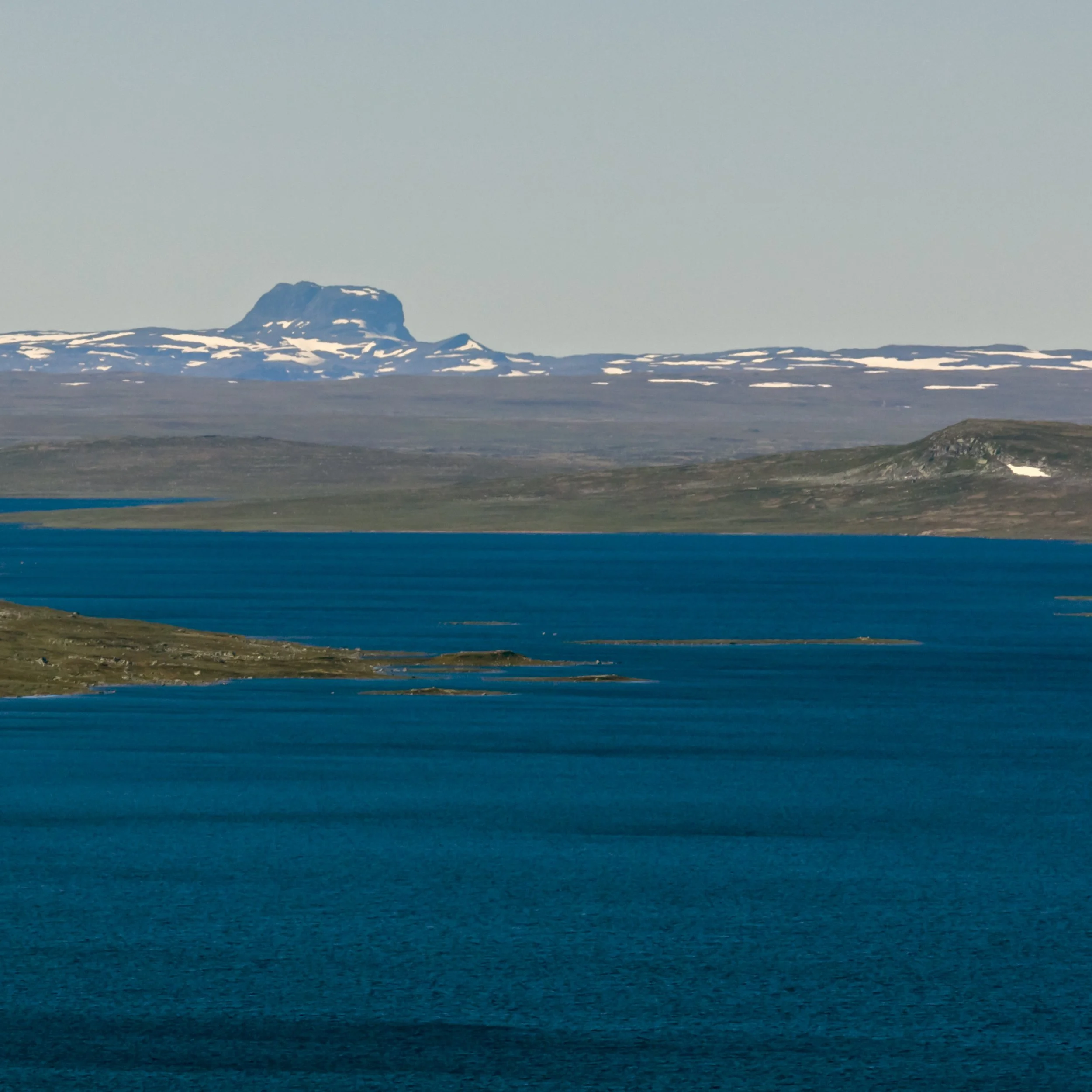 _MG_4984-Y.jpg