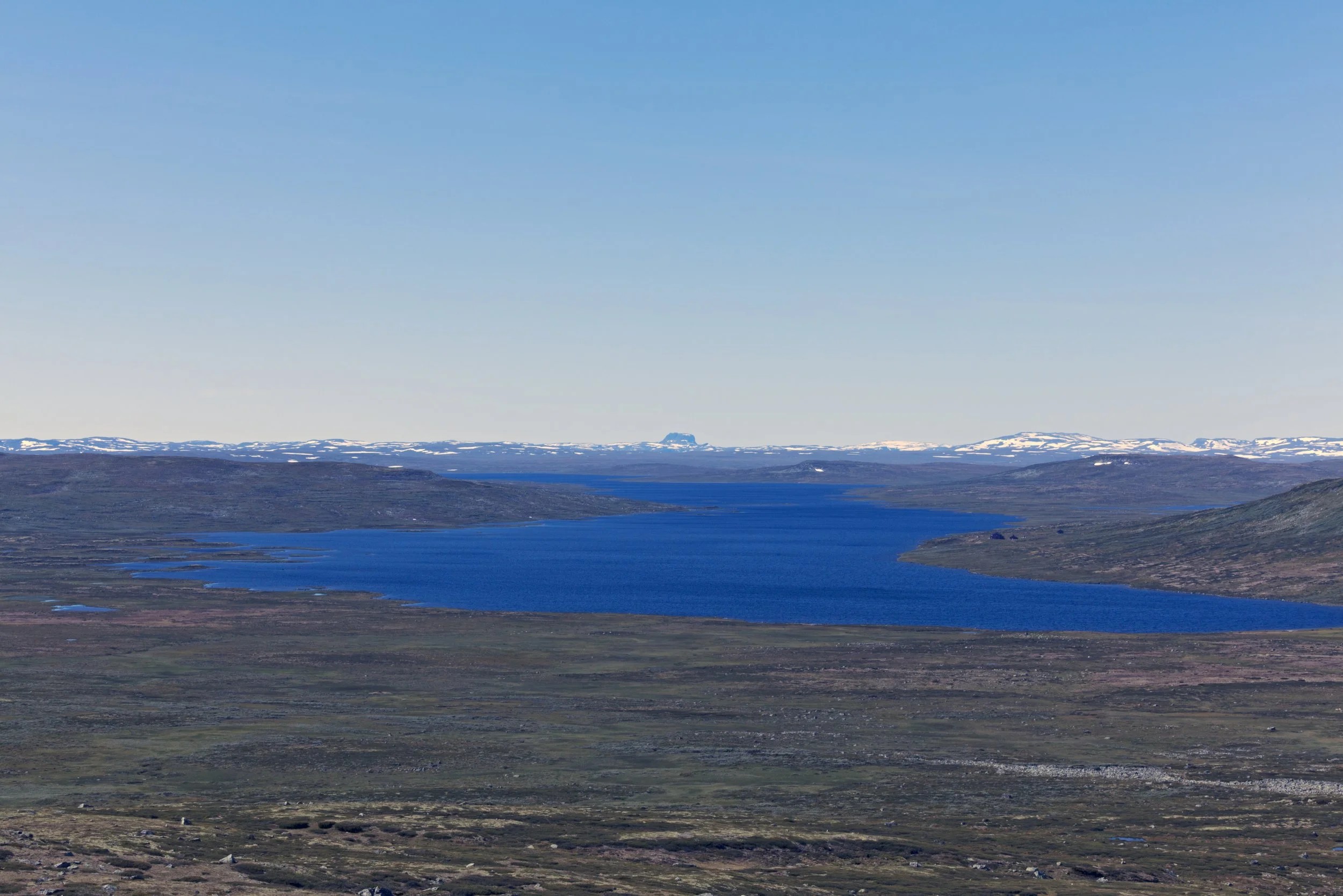 _MG_4986-Y.jpg
