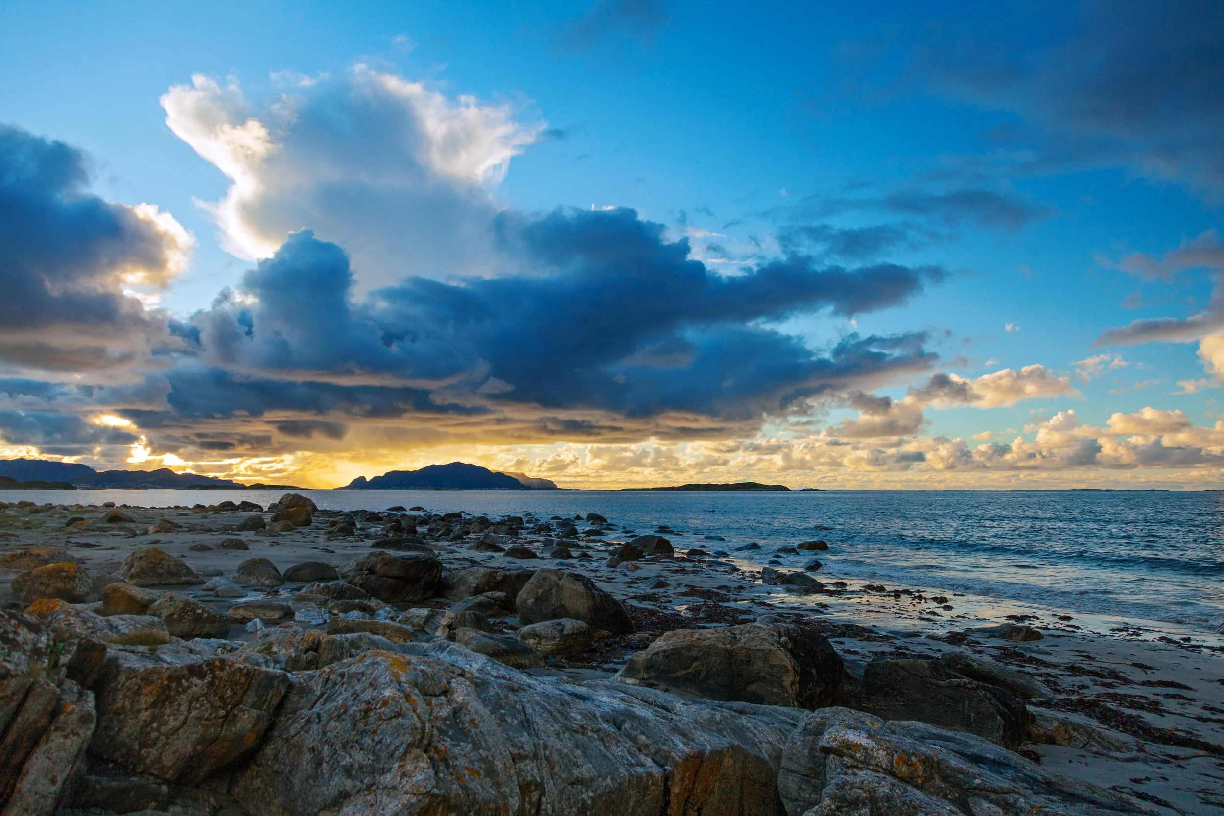 Autumnal sunset back-lighting bird island Runde, Norway
