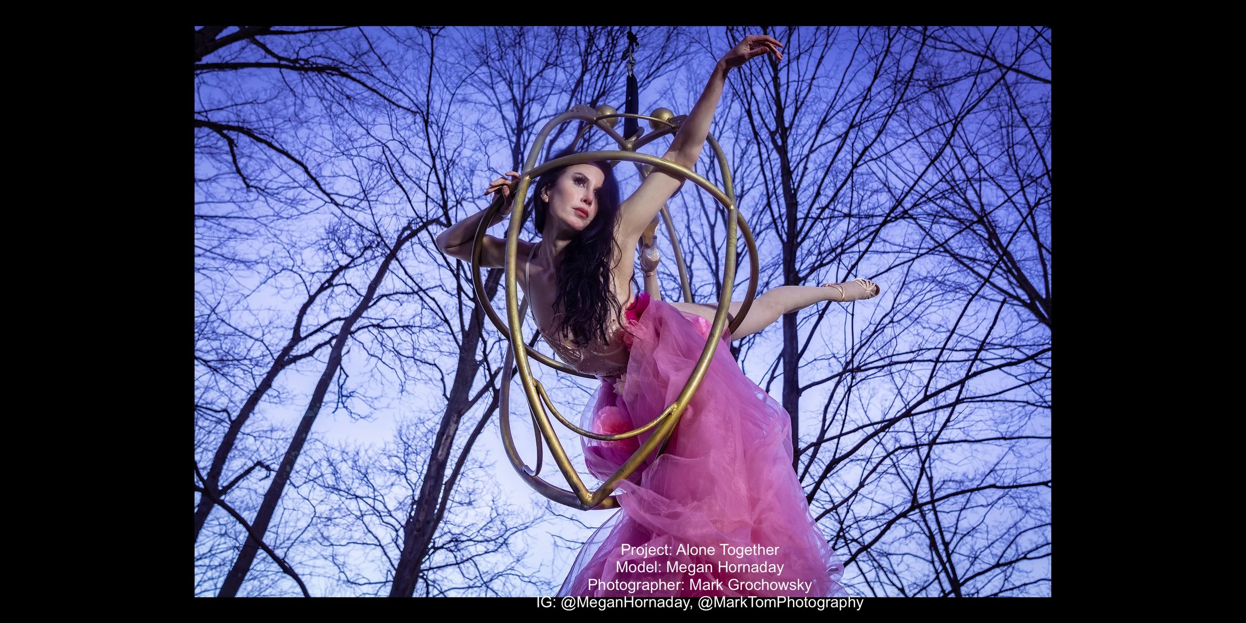 MeganH Orb Tree for web.jpeg