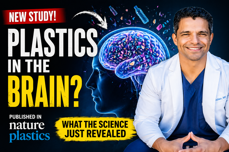 Plastic Is in Every Human Brain.