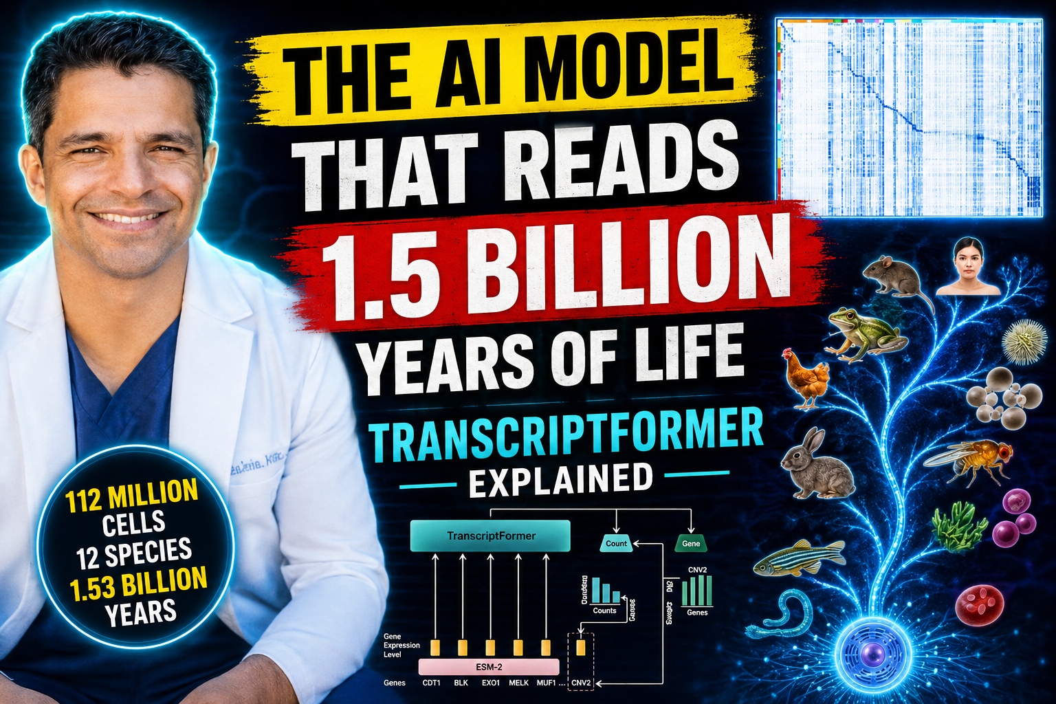 The AI That Learned the Language of Life and What It Means for Your Health
