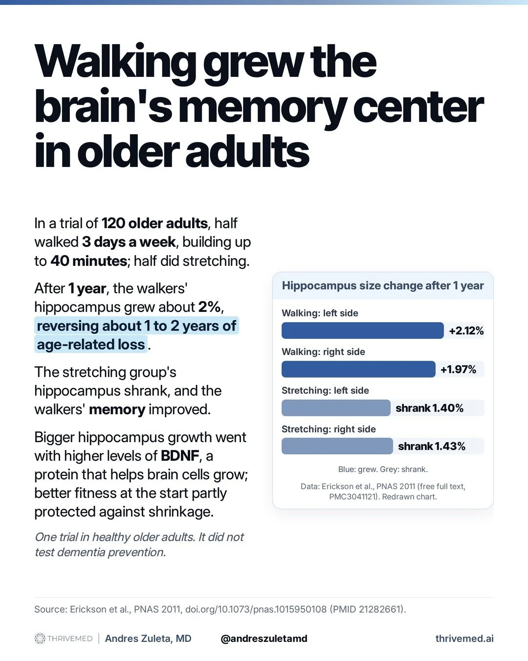 Chart: after 1 year, the hippocampus grew about 2 percent with walking and shrank with stretching in 120 older adults