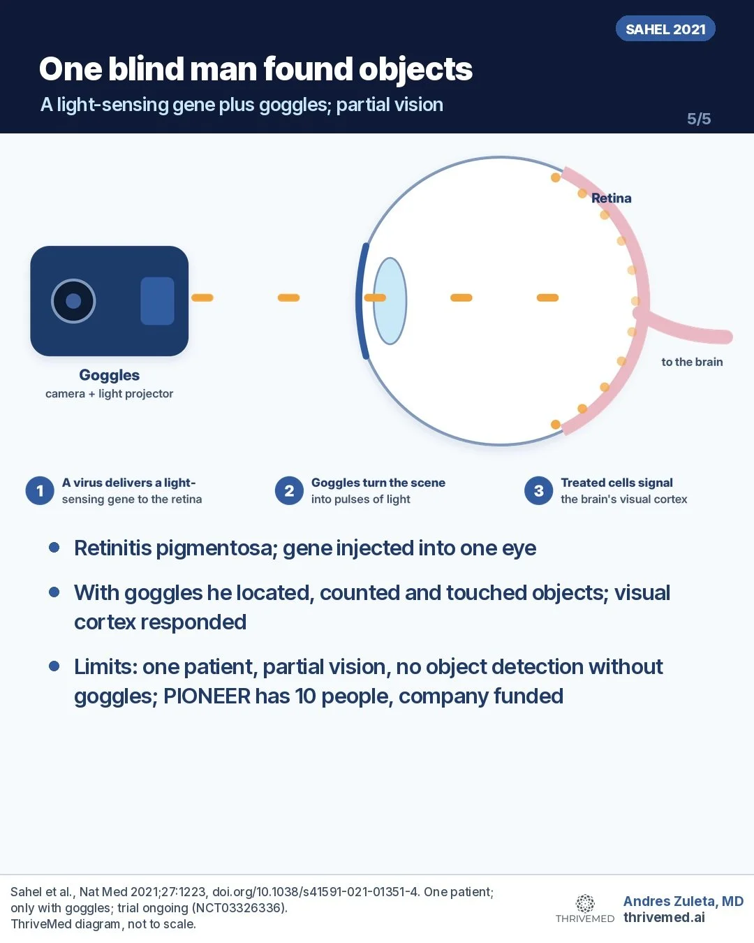 Diagram: goggles with a camera project light pulses onto a treated retina that carries a light-sensing gene