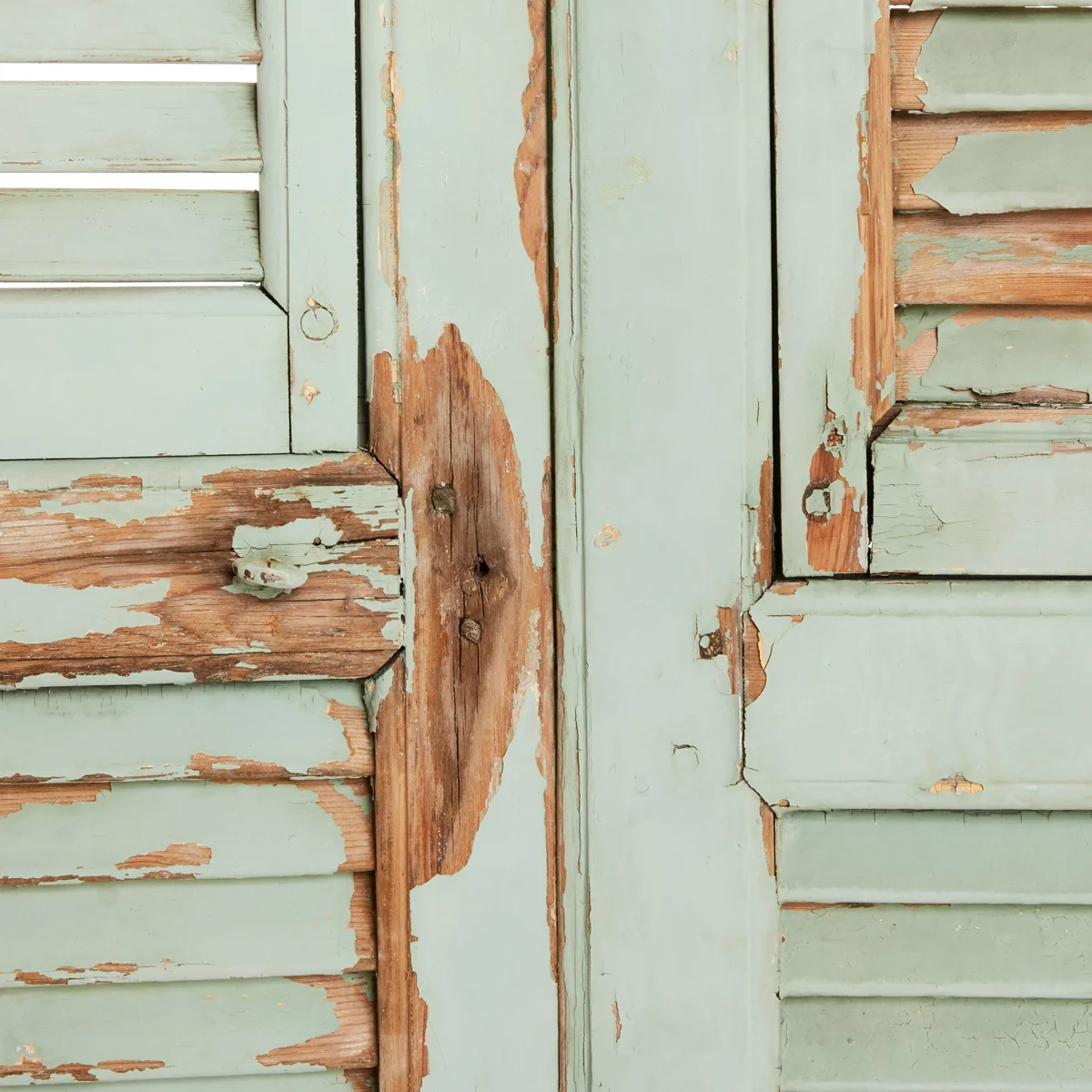 French Chateau Shutters, pair.3.jpg