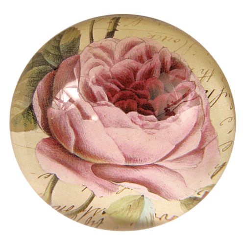 CDP-cabbage-rose_3_500x.png