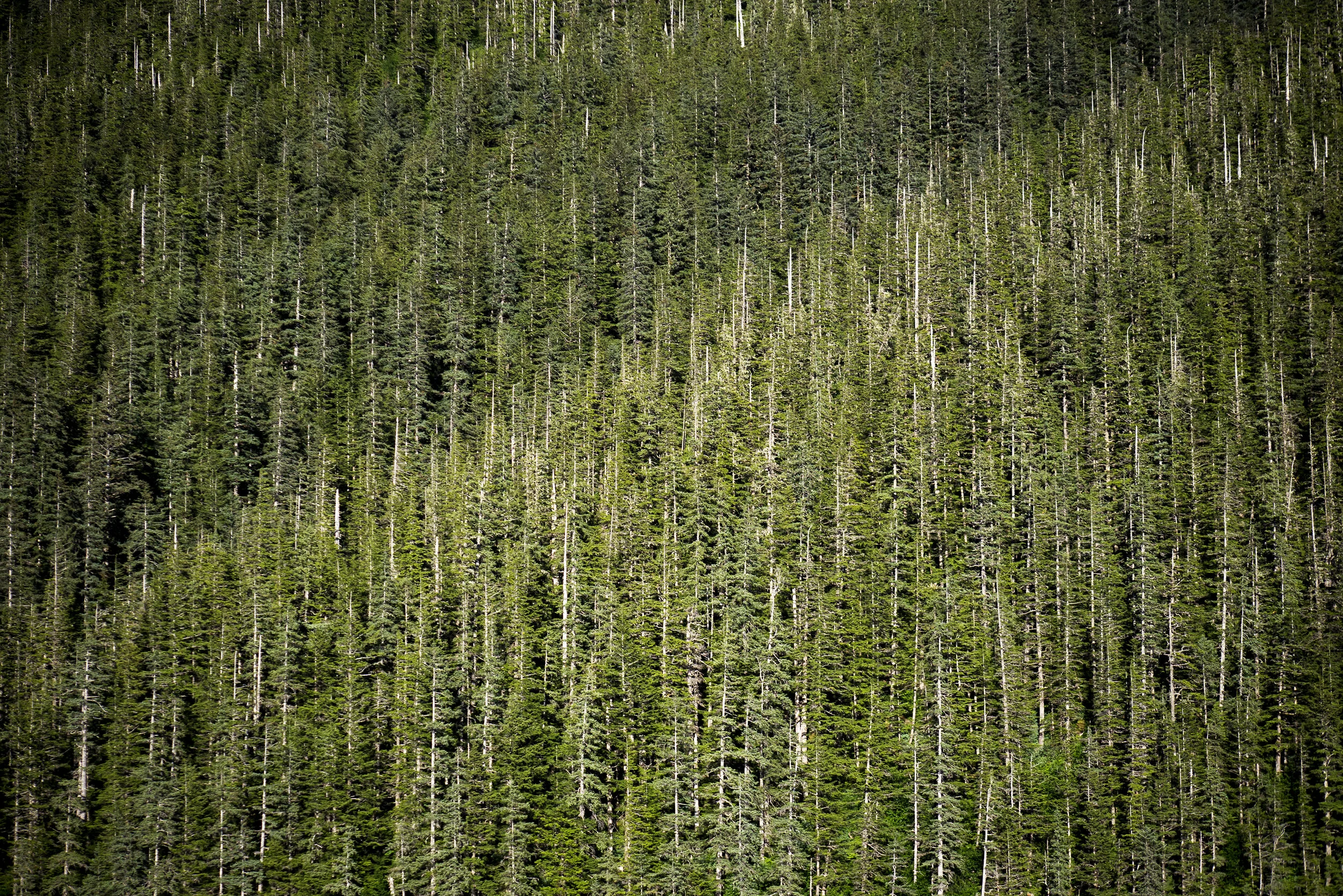 P1020628_edit.jpg