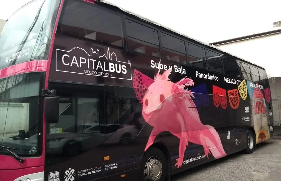 MAN+Capital+Bus+2.2.jpg