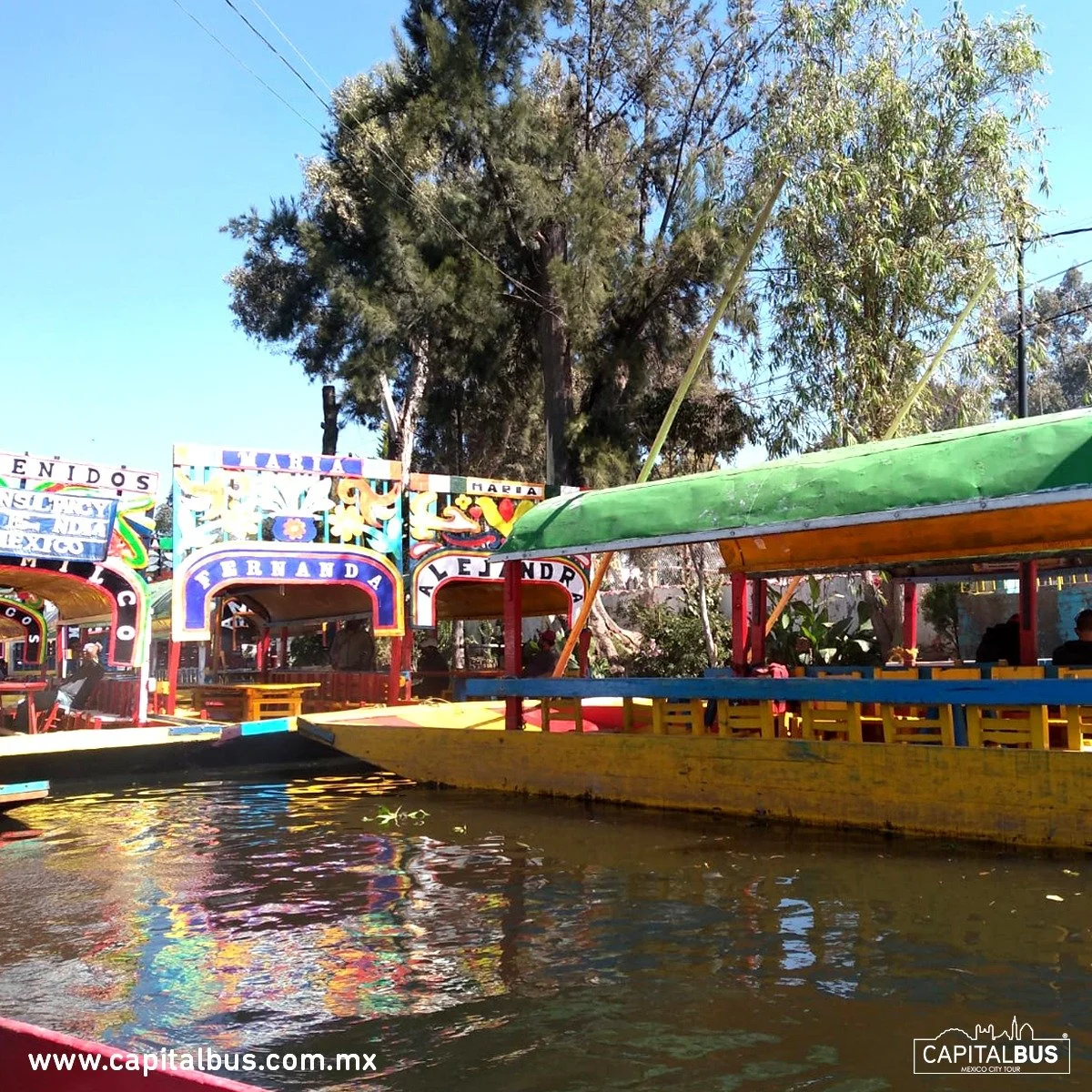 coyoacan+x gal5.jpeg