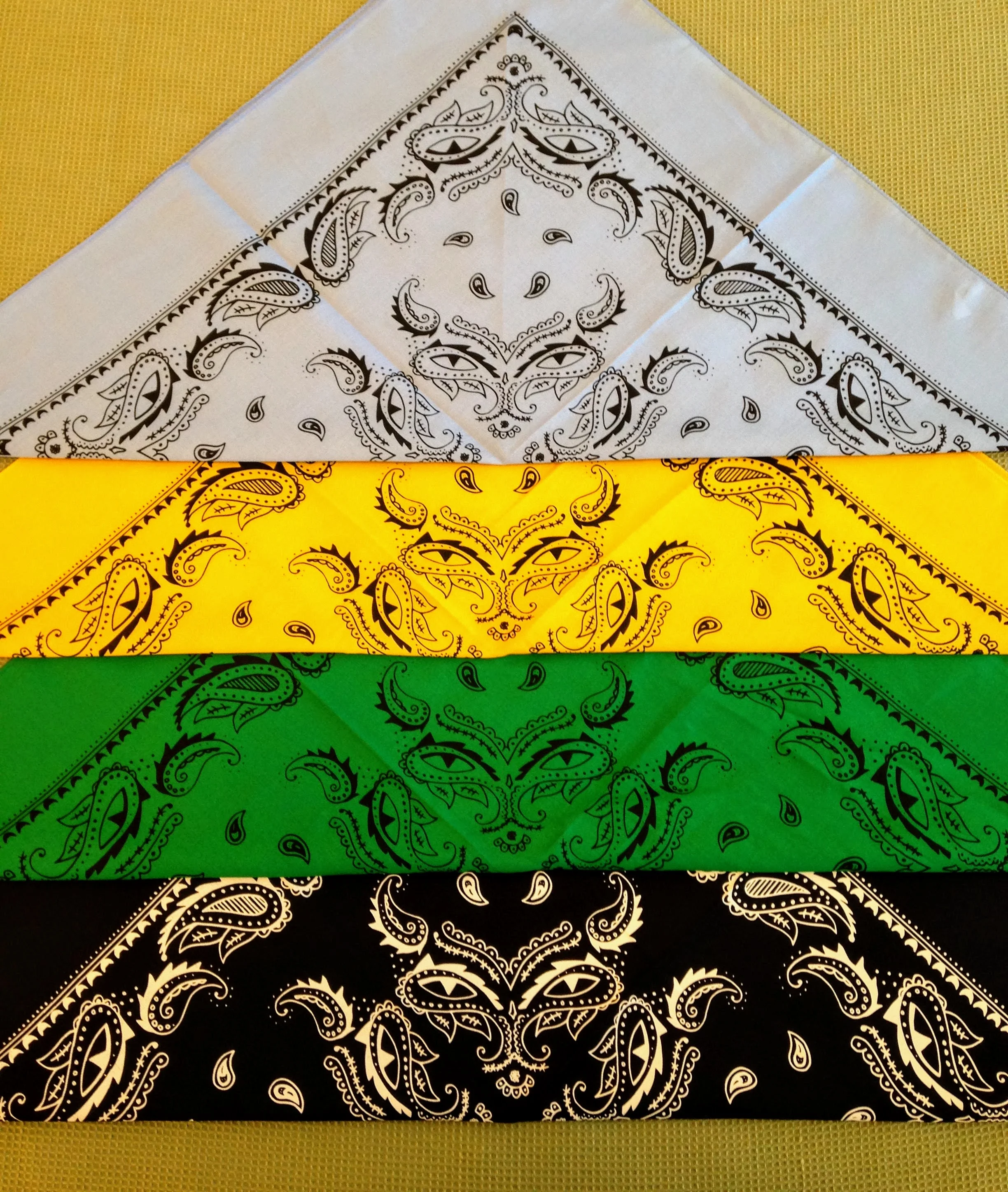 Whisker Bangin' Paisley