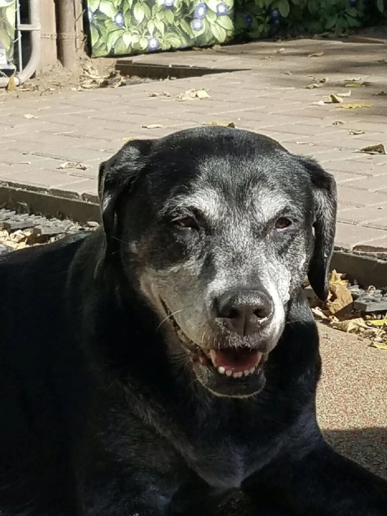 Finley Class Greeter.jpg