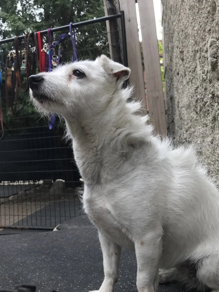 Maggie Hall Monitor.jpg