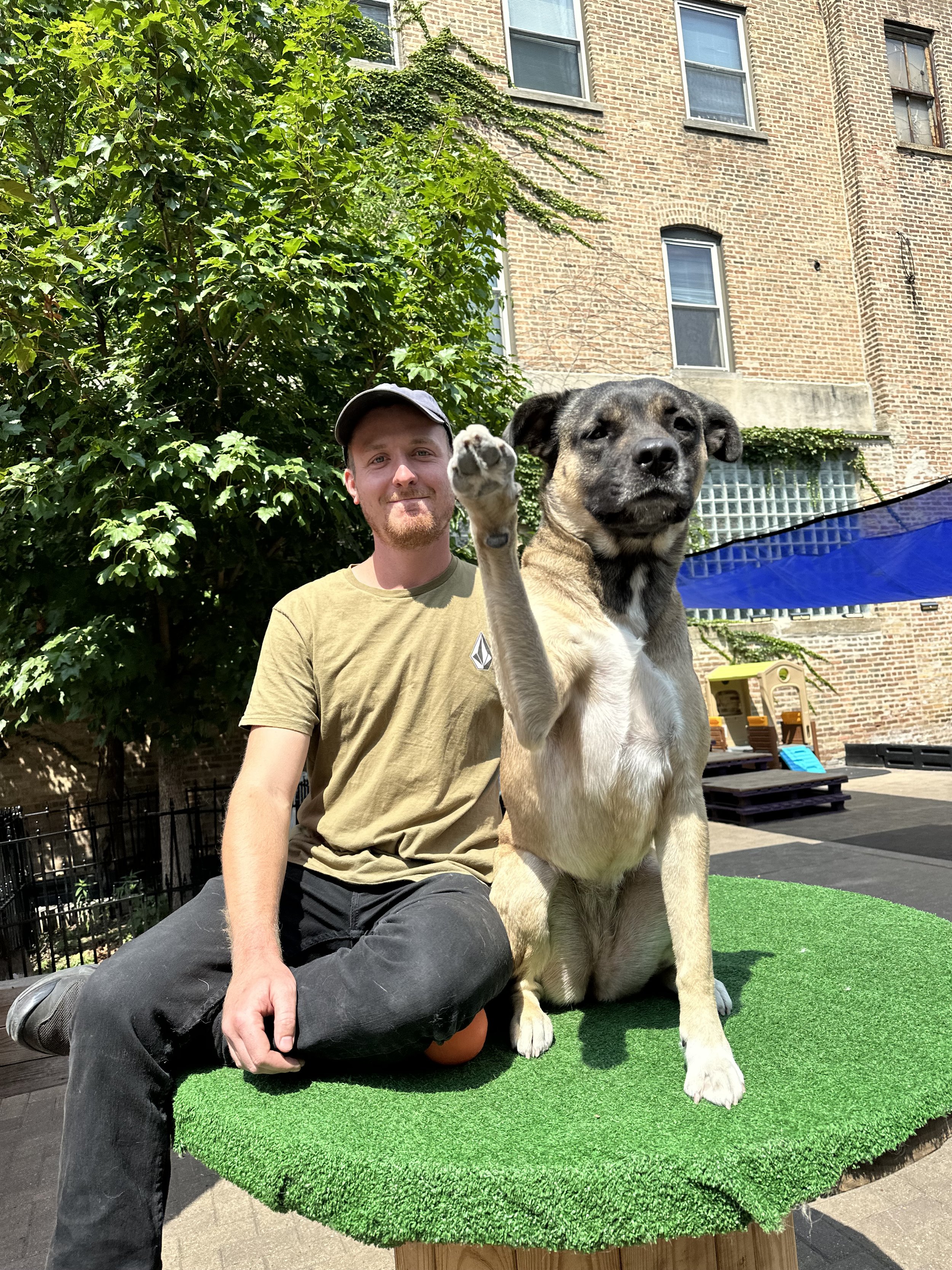 Brandon Berg - Head Canine Coach