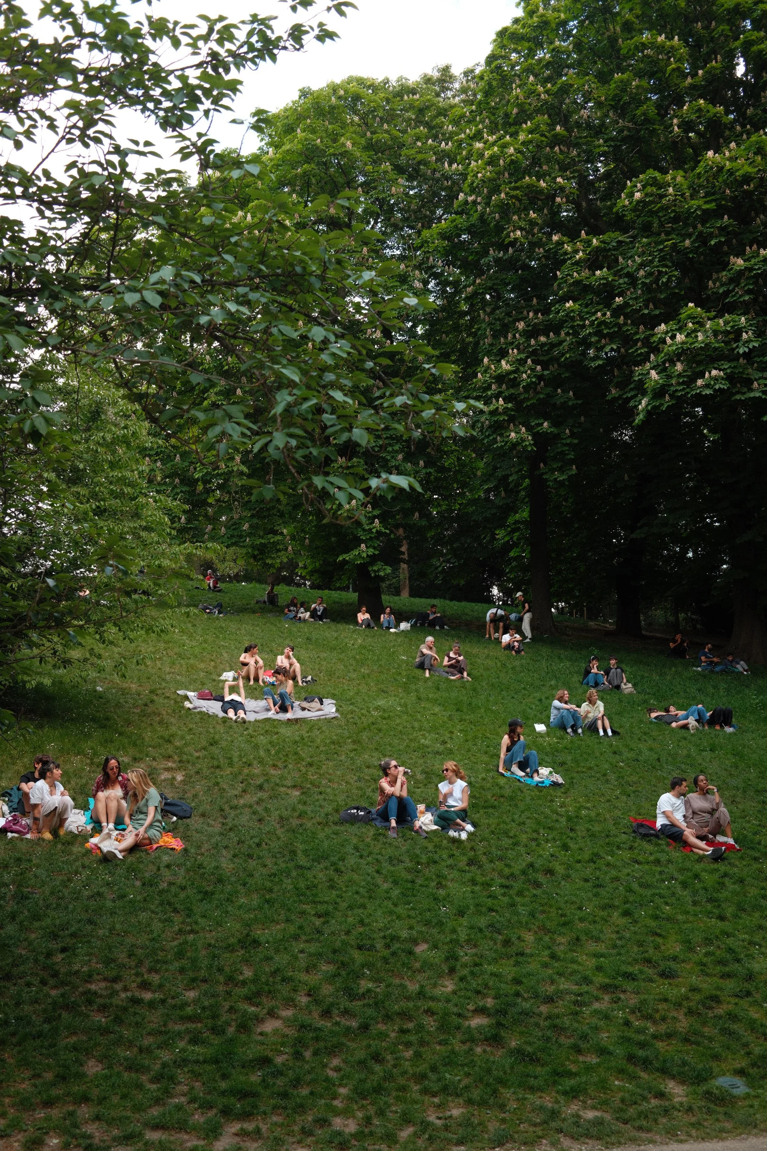 DSCF5188.JPG