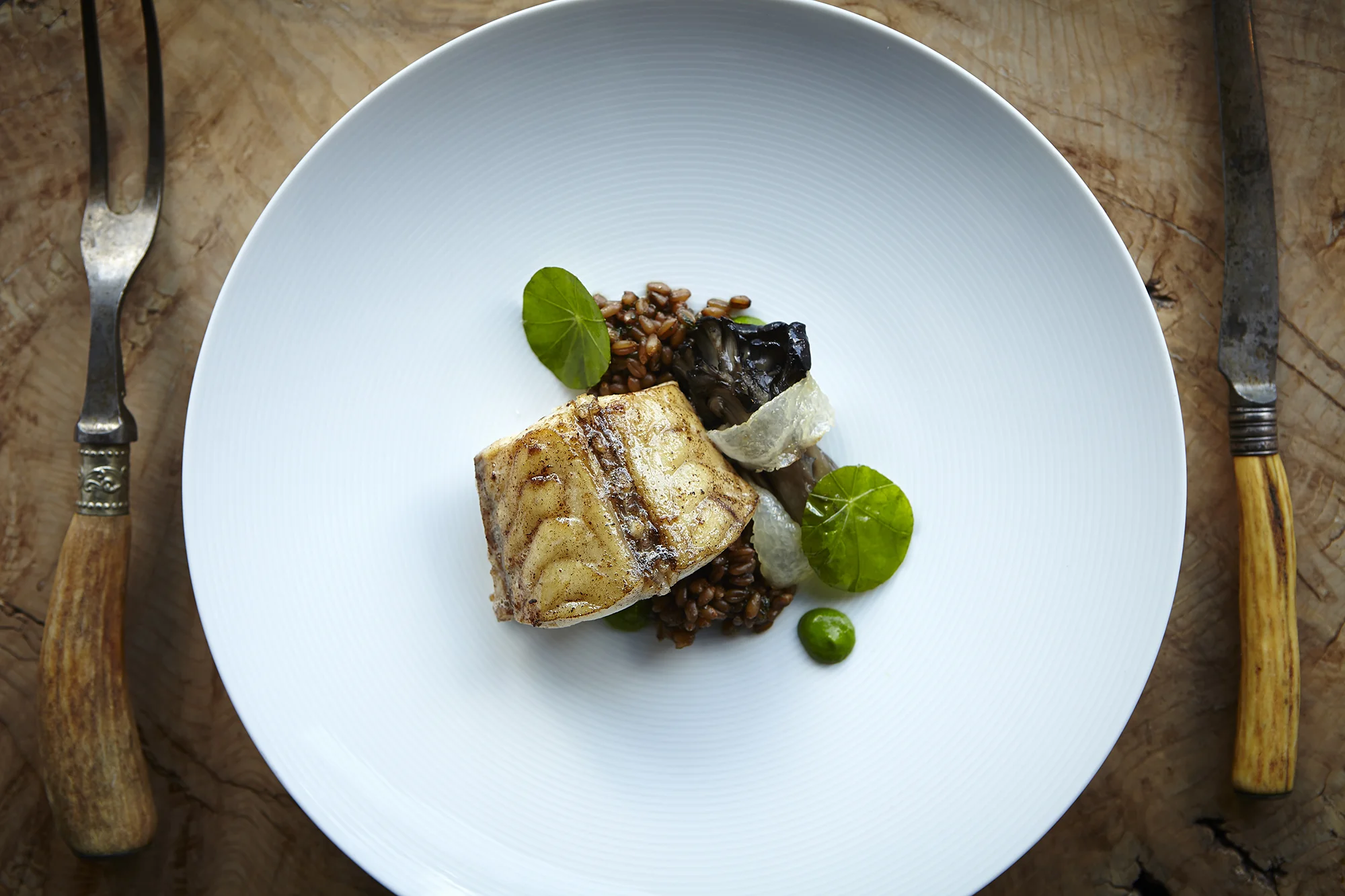 ZB FOOD-20.jpg