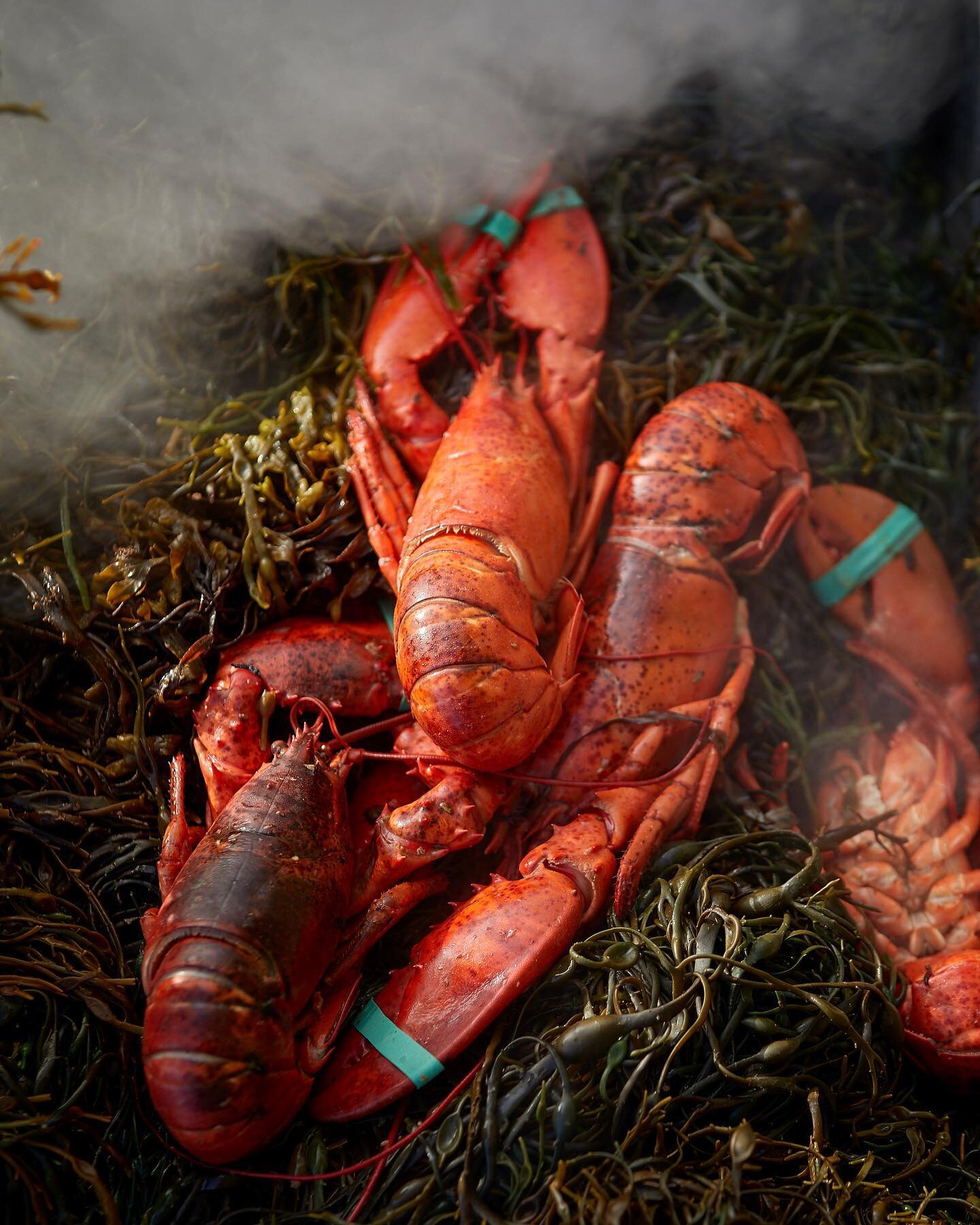 Remembering warmer, and social, days! Shots from a #clambake w/ @eventideoysterco and their crew out on Gay Island when shooting for their #cookbook 
&bull;
&bull;
&bull;
#cookbookphotography #cookbookphotographer #onlocationshoot #onlocation #lobste